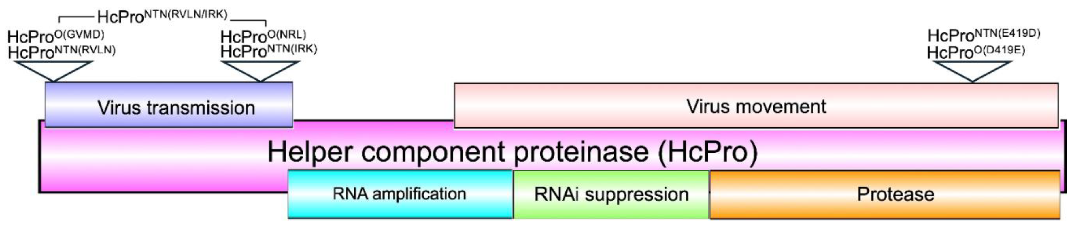 Preprints 186253 g001
