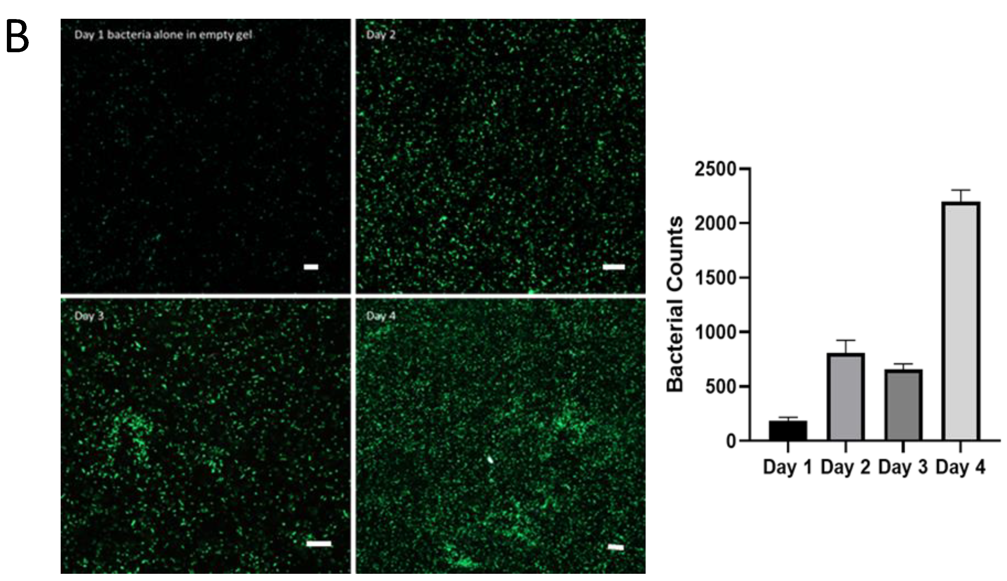 Preprints 153698 g003b