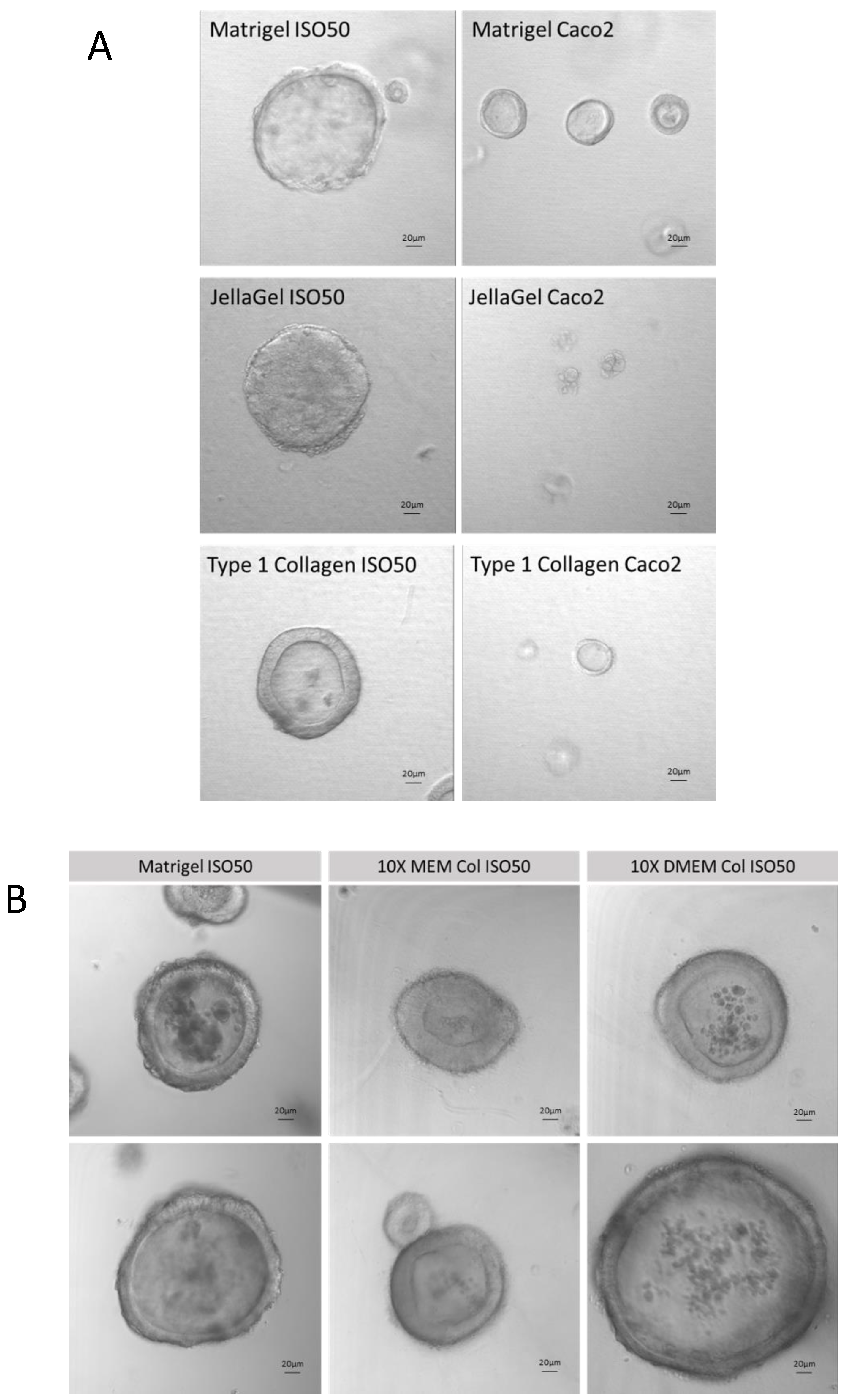 Preprints 153698 g004