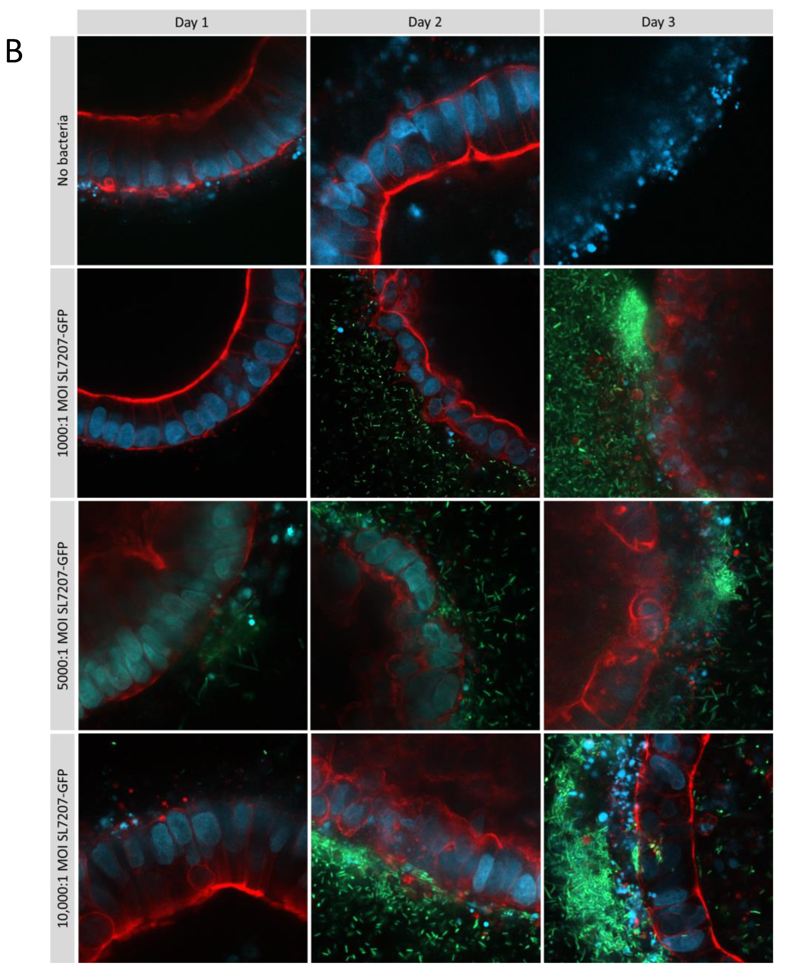 Preprints 153698 g007b