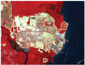 Preprints 164195 i001