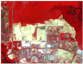 Preprints 164195 i003