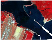 Preprints 164195 i004