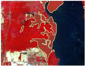 Preprints 164195 i006