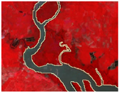 Preprints 164195 i007