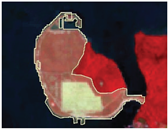 Preprints 164195 i011