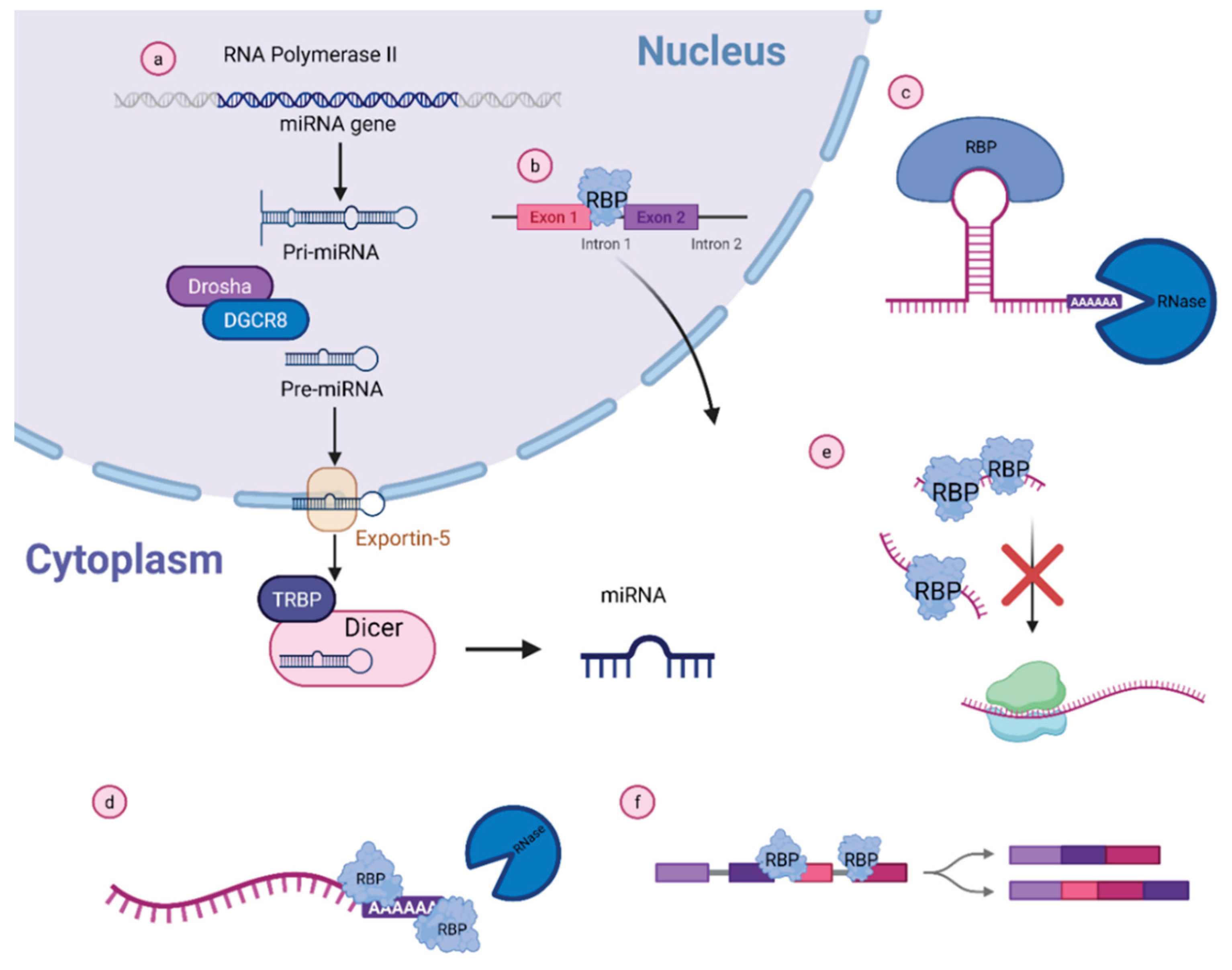 Preprints 223642 g001