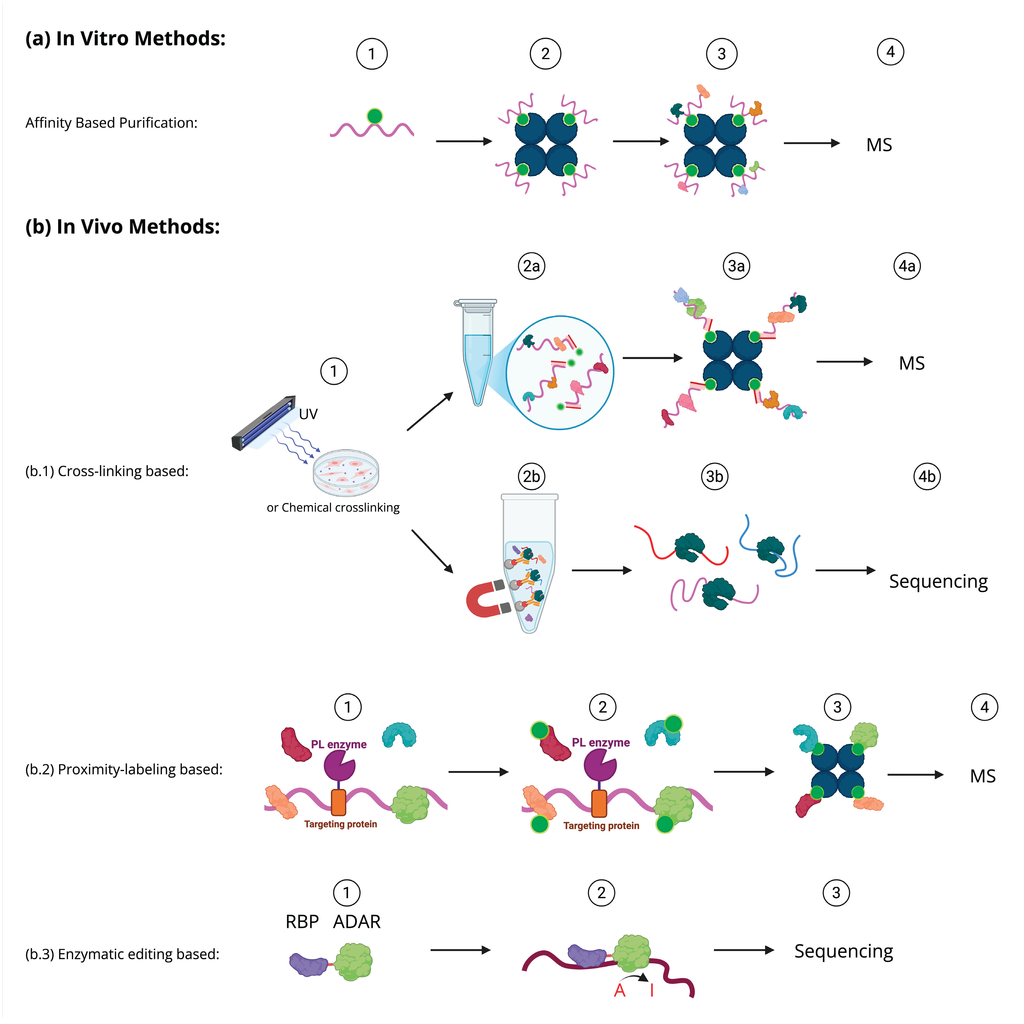 Preprints 223642 g002