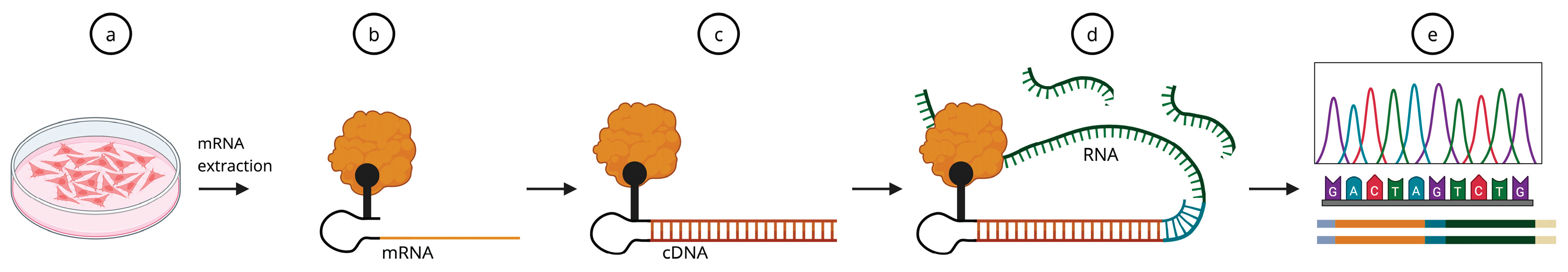 Preprints 223642 g003
