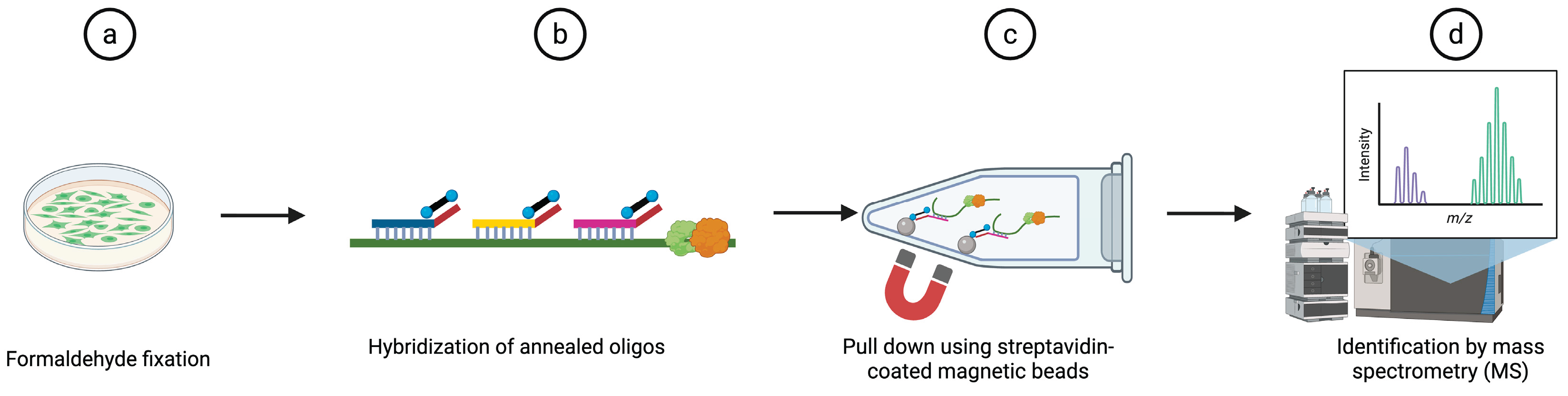 Preprints 223642 g004