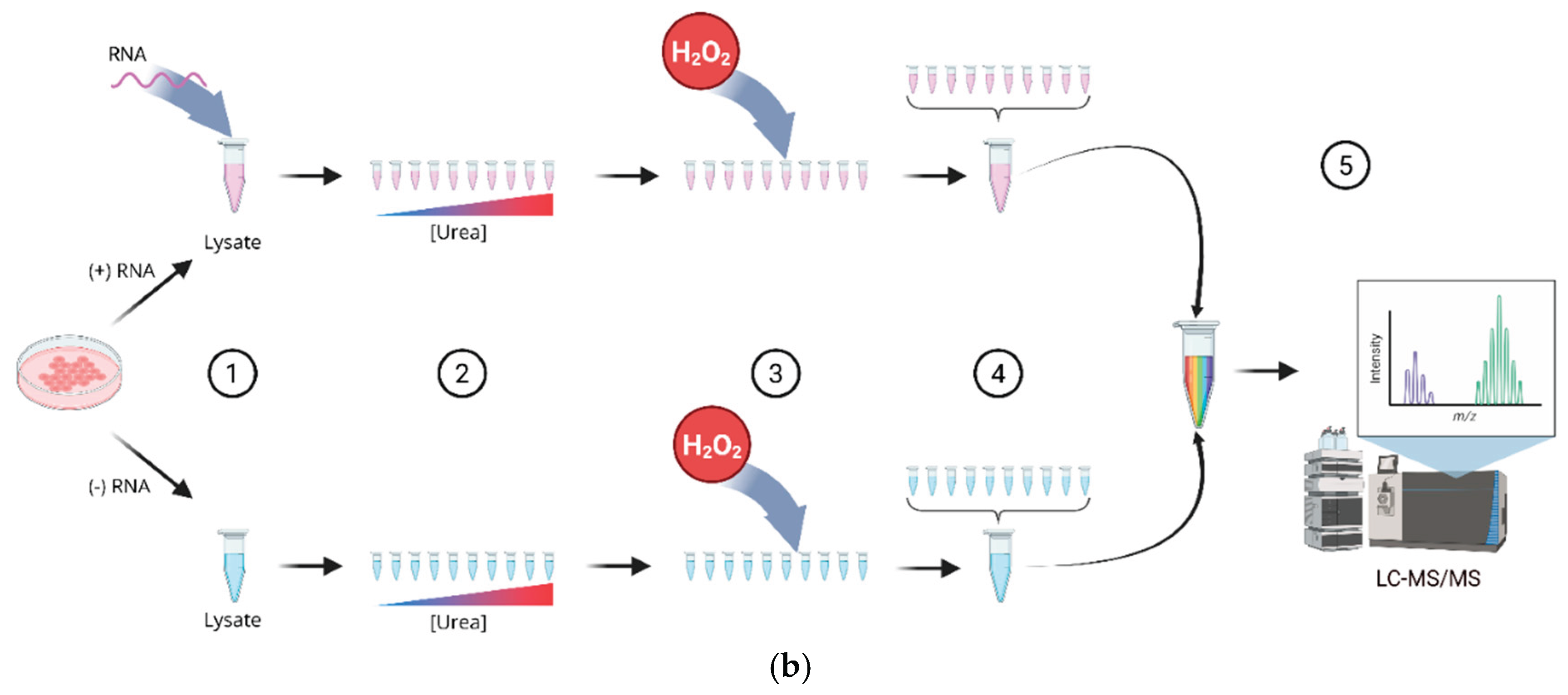 Preprints 223642 g006b