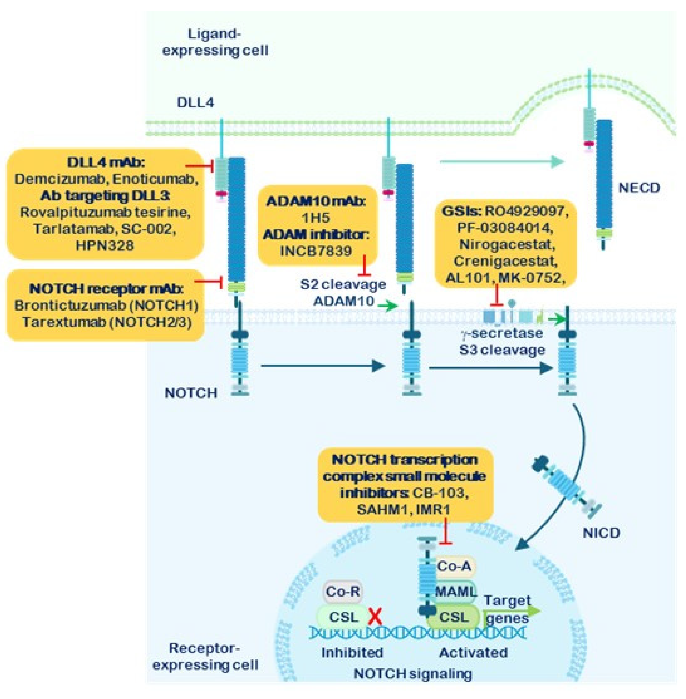 Preprints 184177 g005