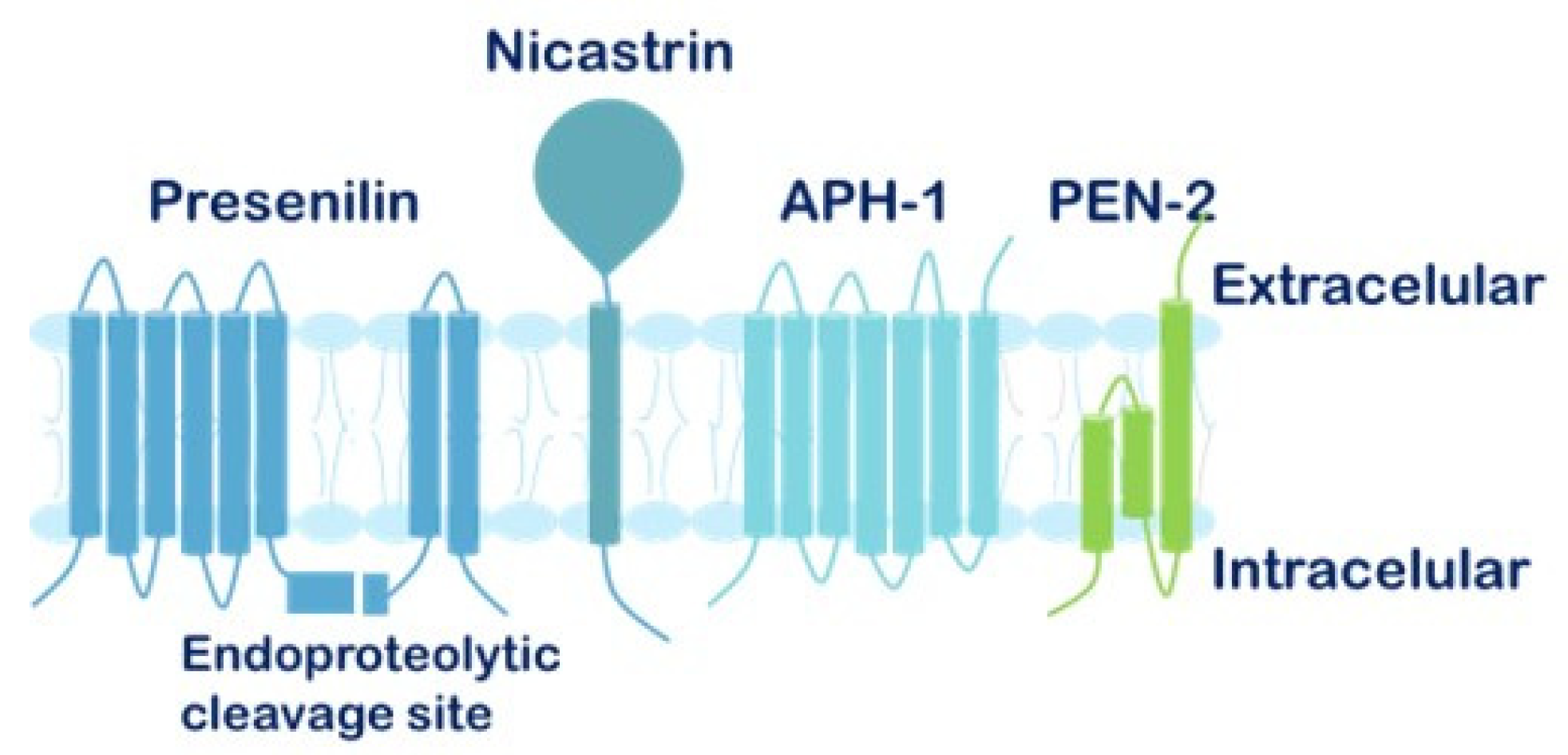 Preprints 184177 g006