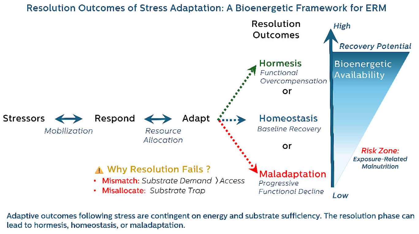 Preprints 162636 i001