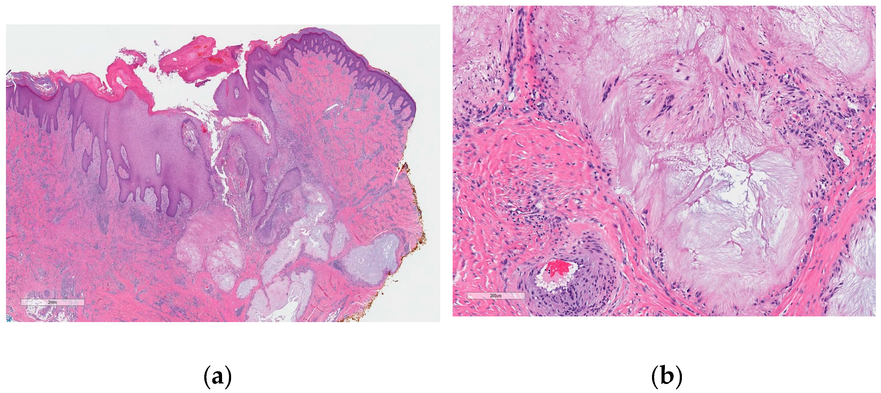 Preprints 74664 g001