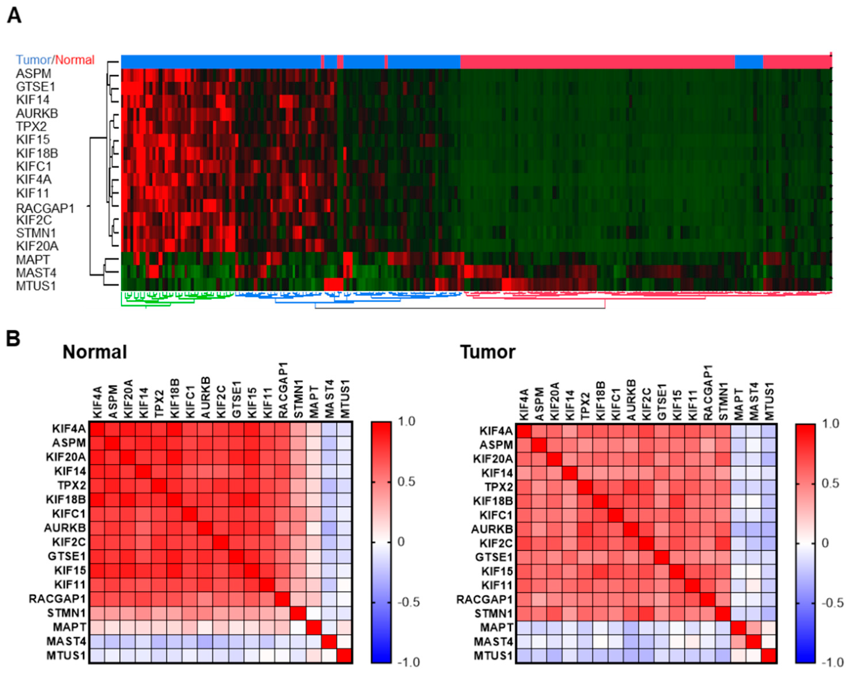 Preprints 84057 g002