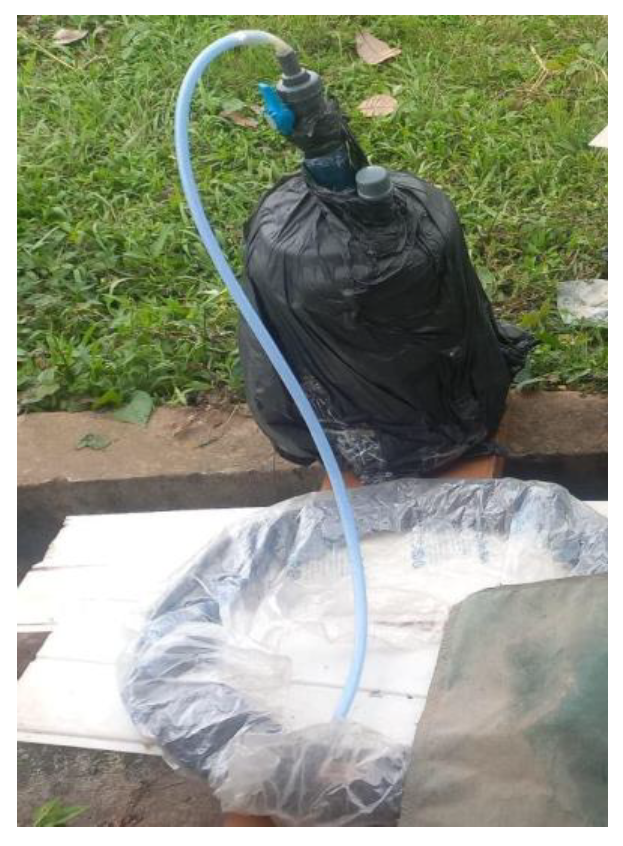 Preprints 148456 sch001