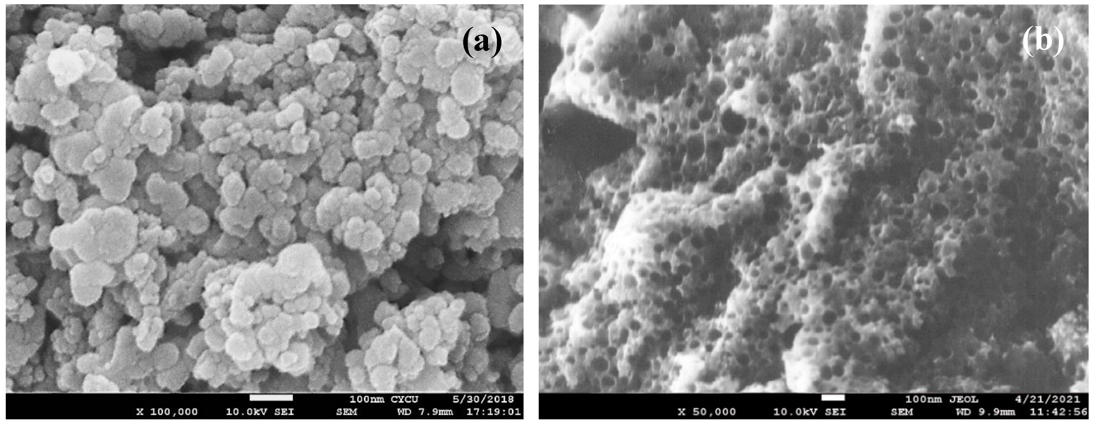 Preprints 142465 g007