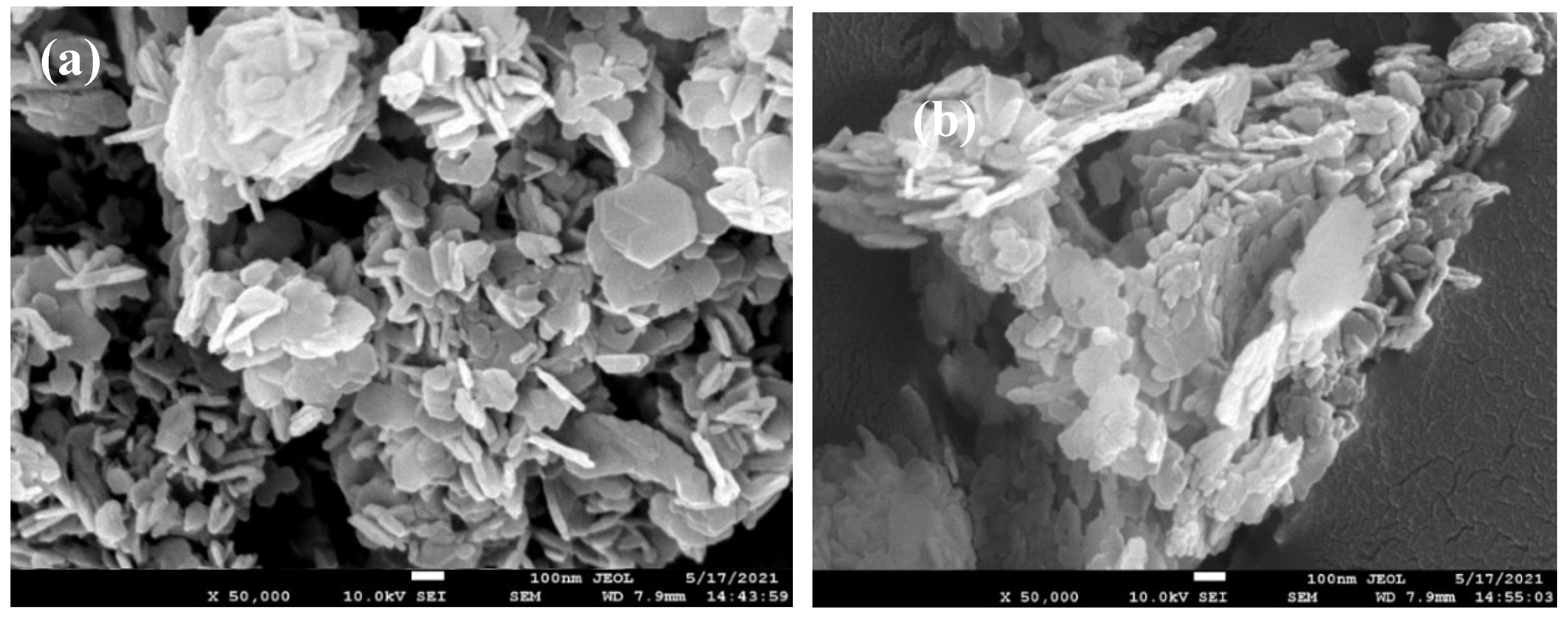 Preprints 142465 g008a