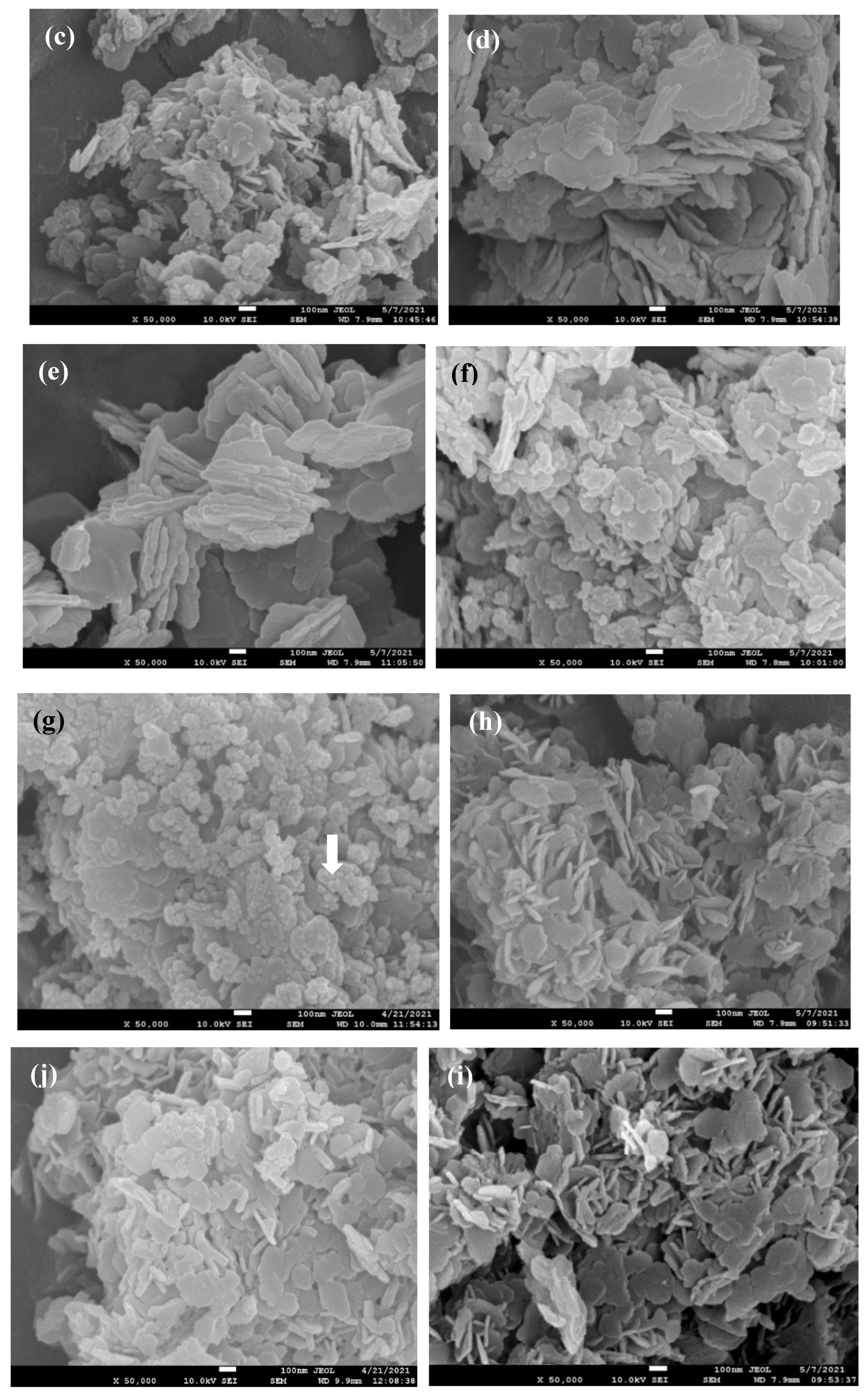 Preprints 142465 g008b