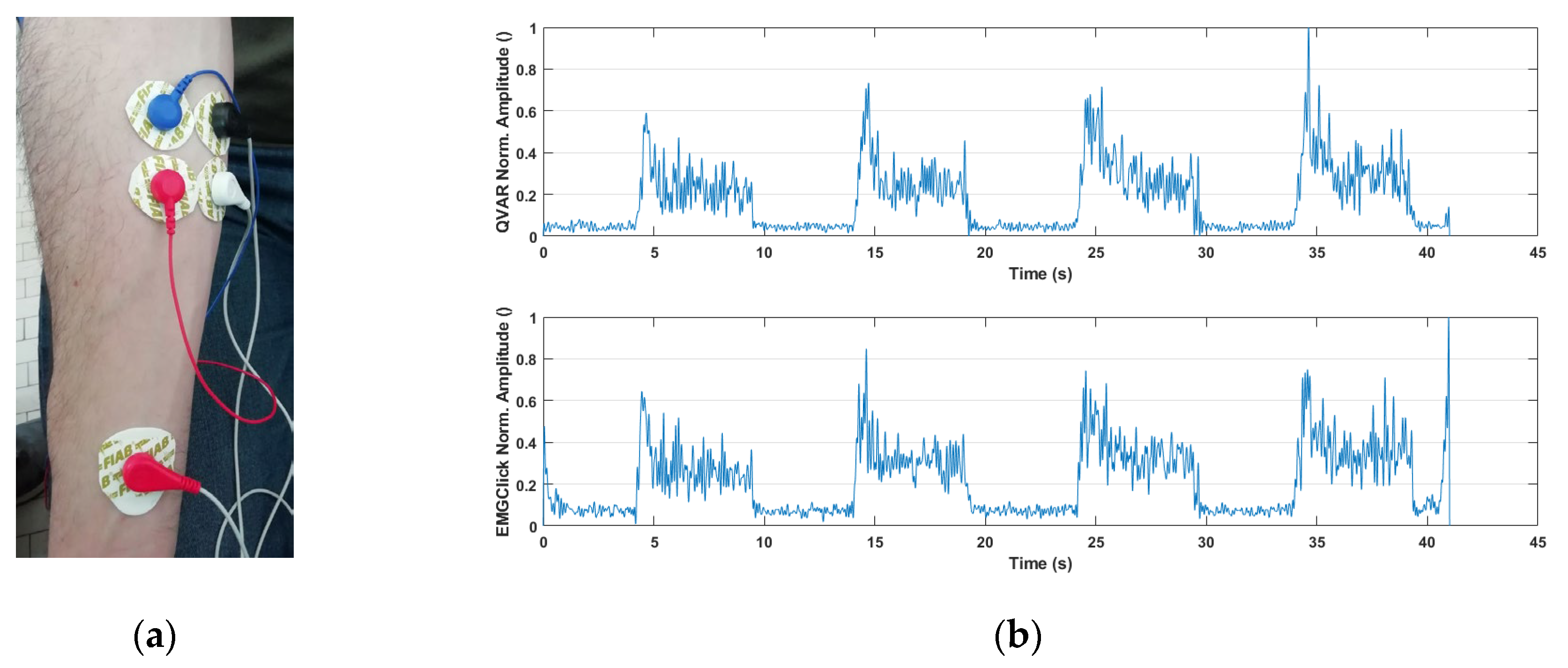 Preprints 97797 g007