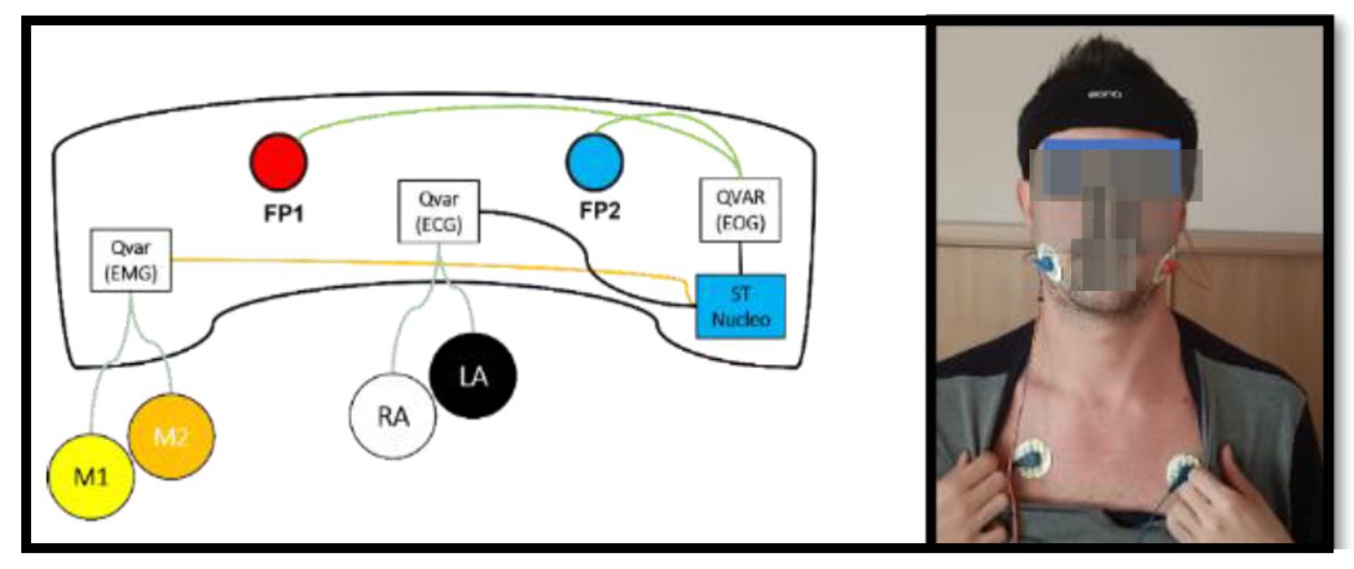 Preprints 97797 g012