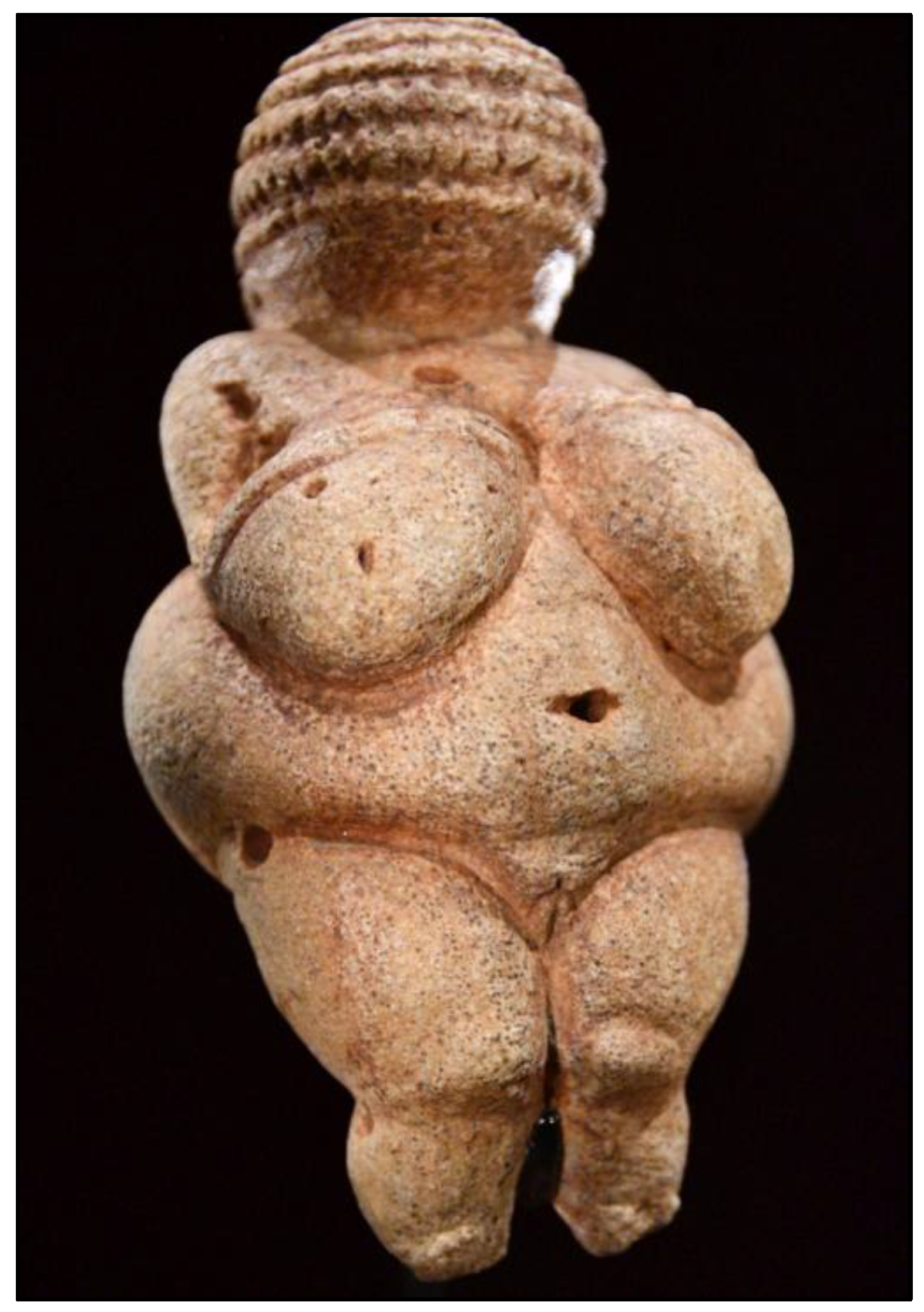 Preprints 161202 g002