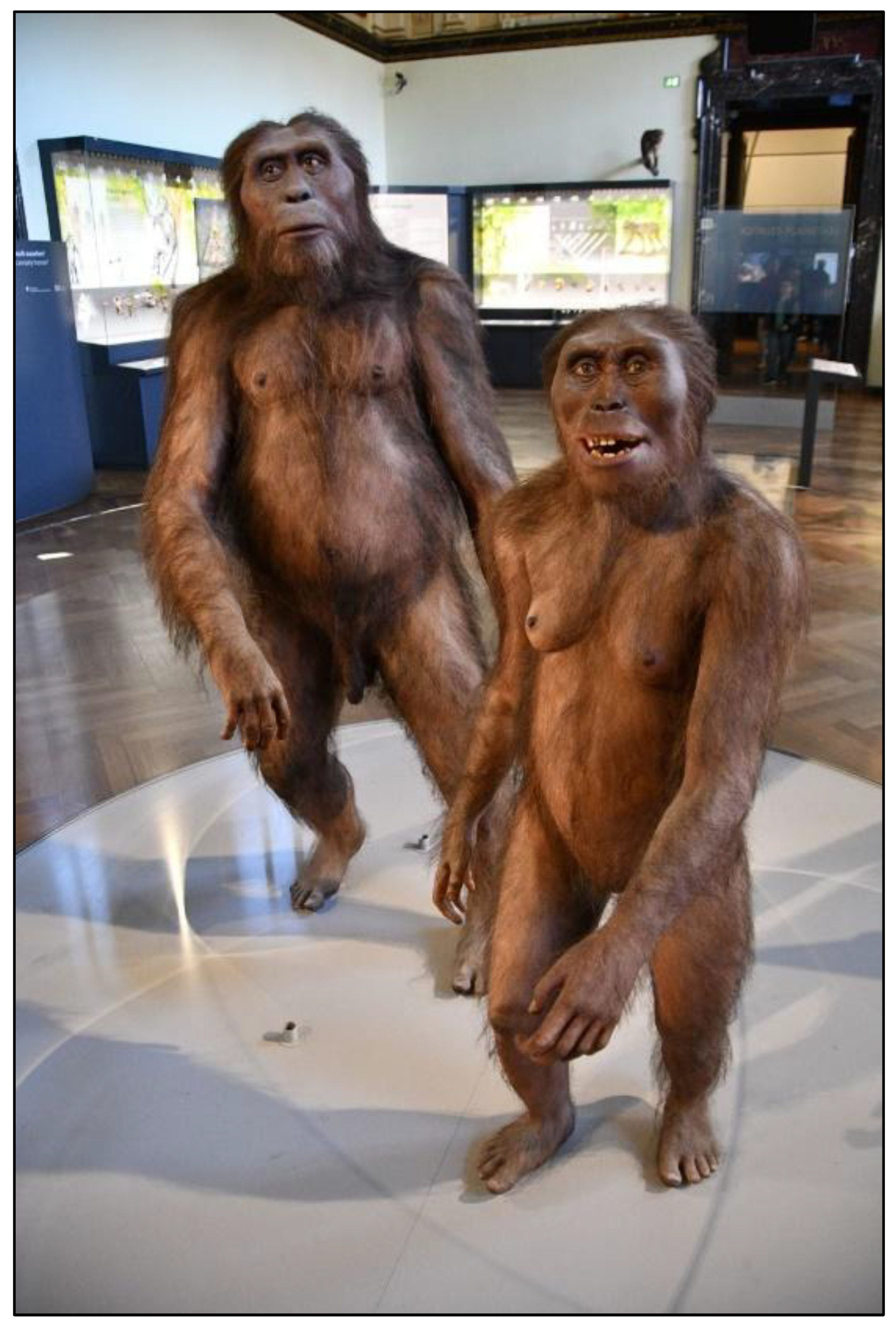 Preprints 161202 g003