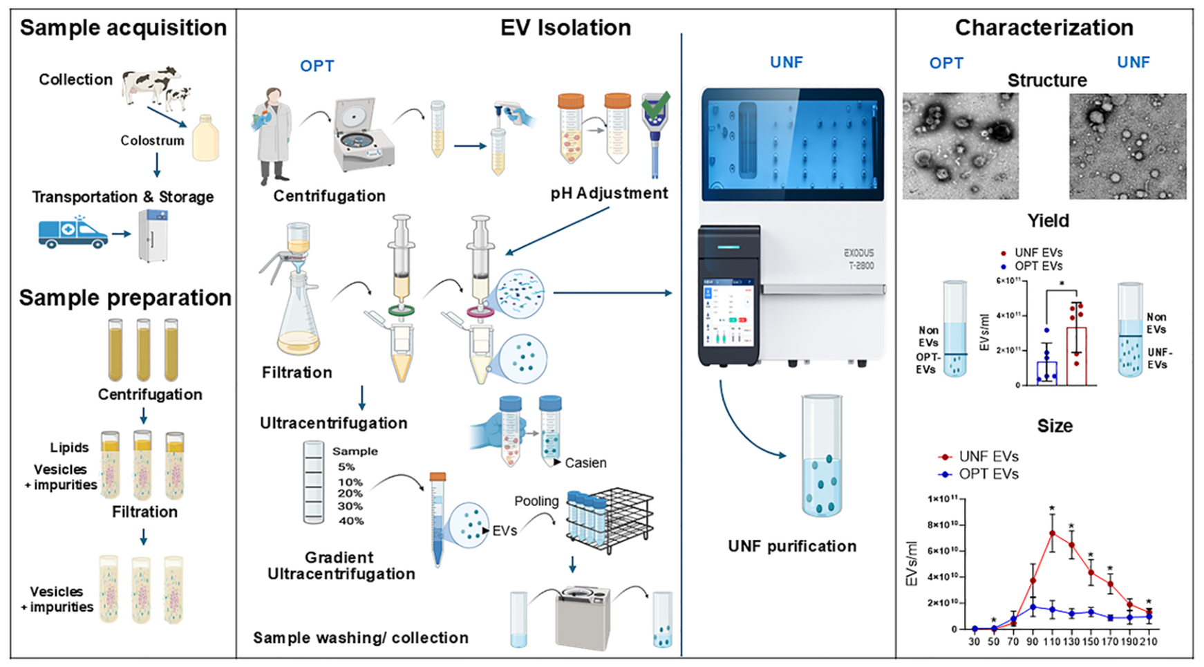 Preprints 217701 g001 Preprints 217701 g001
