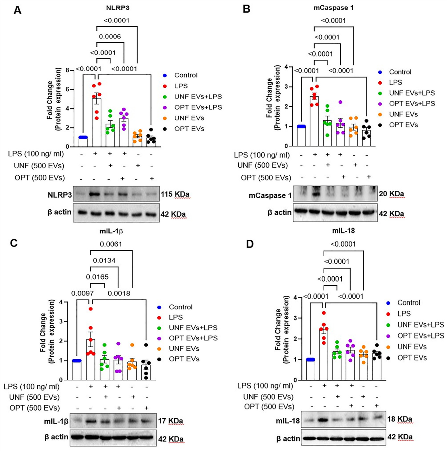 Preprints 217701 g004 Preprints 217701 g004