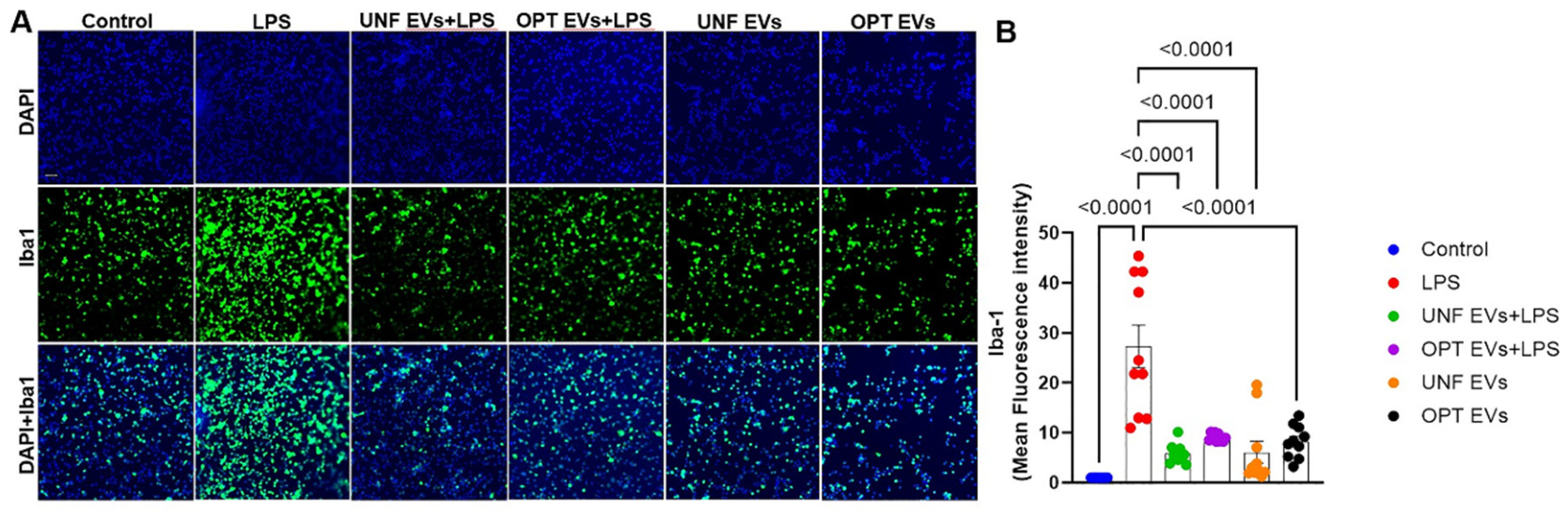 Preprints 217701 g005 Preprints 217701 g005