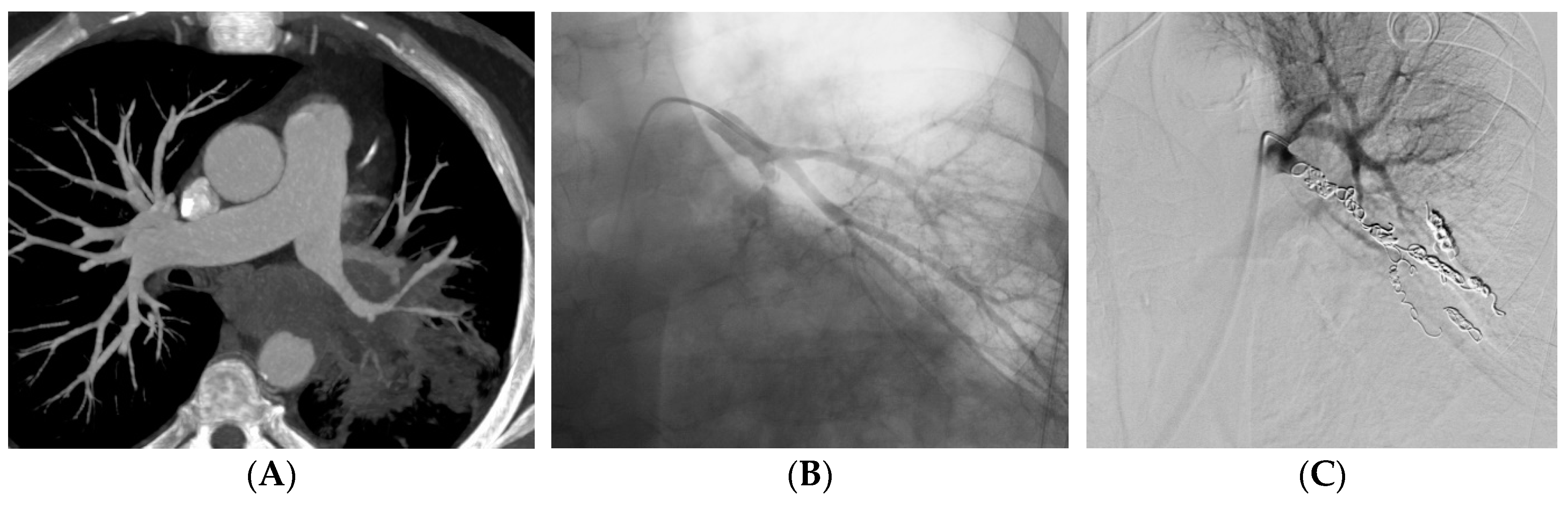 Preprints 88461 g002