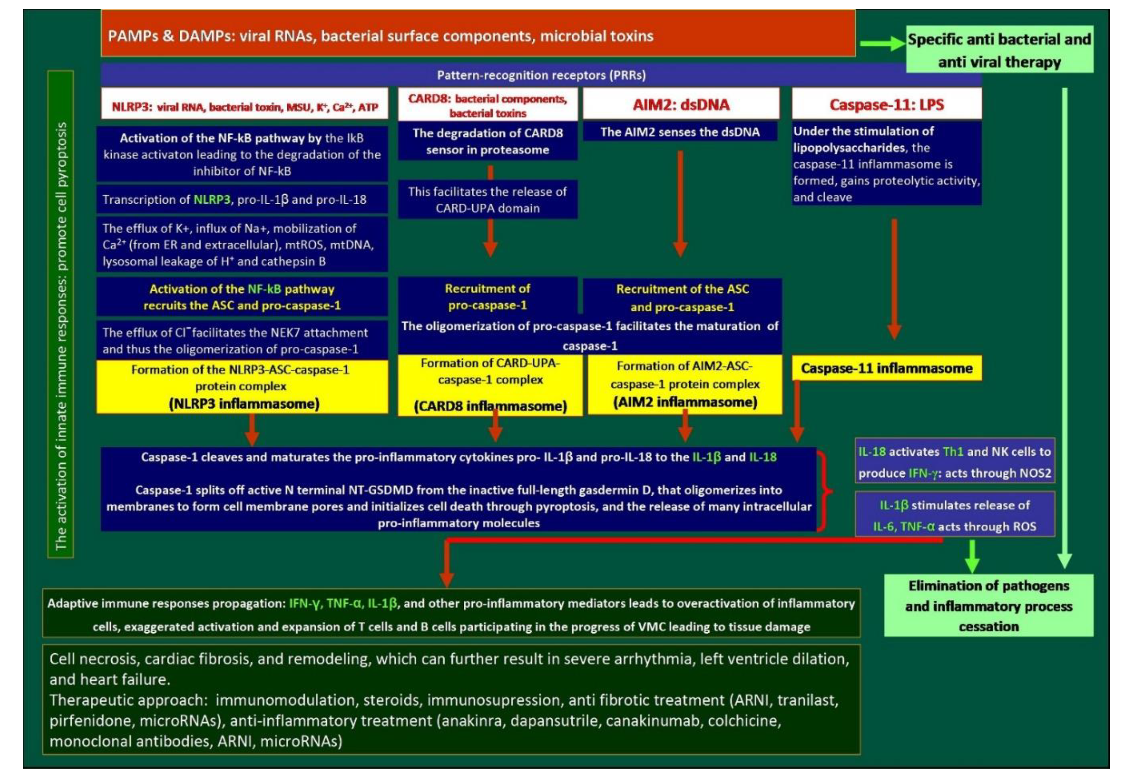 Preprints 177589 g002