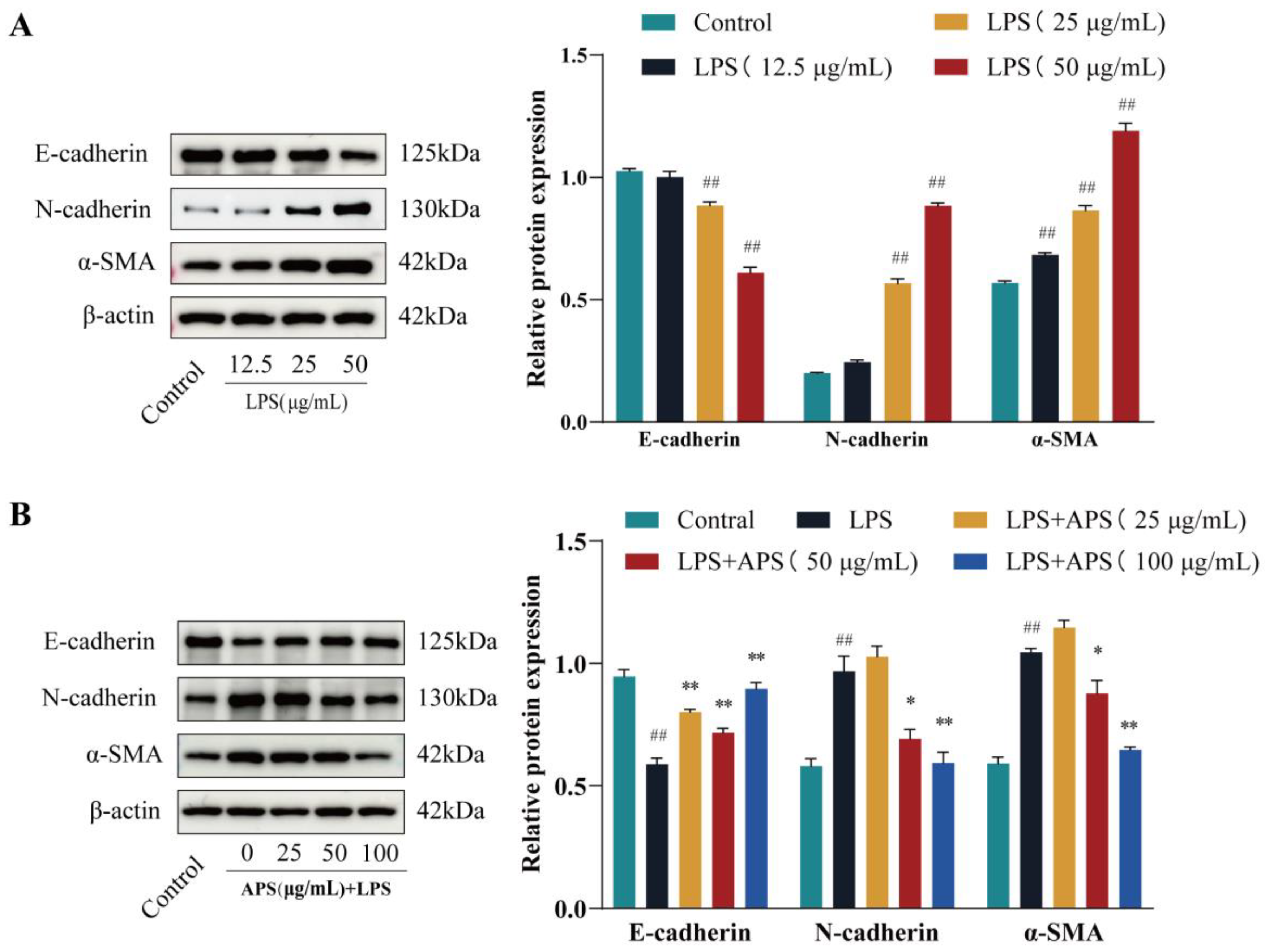 Preprints 148488 g001