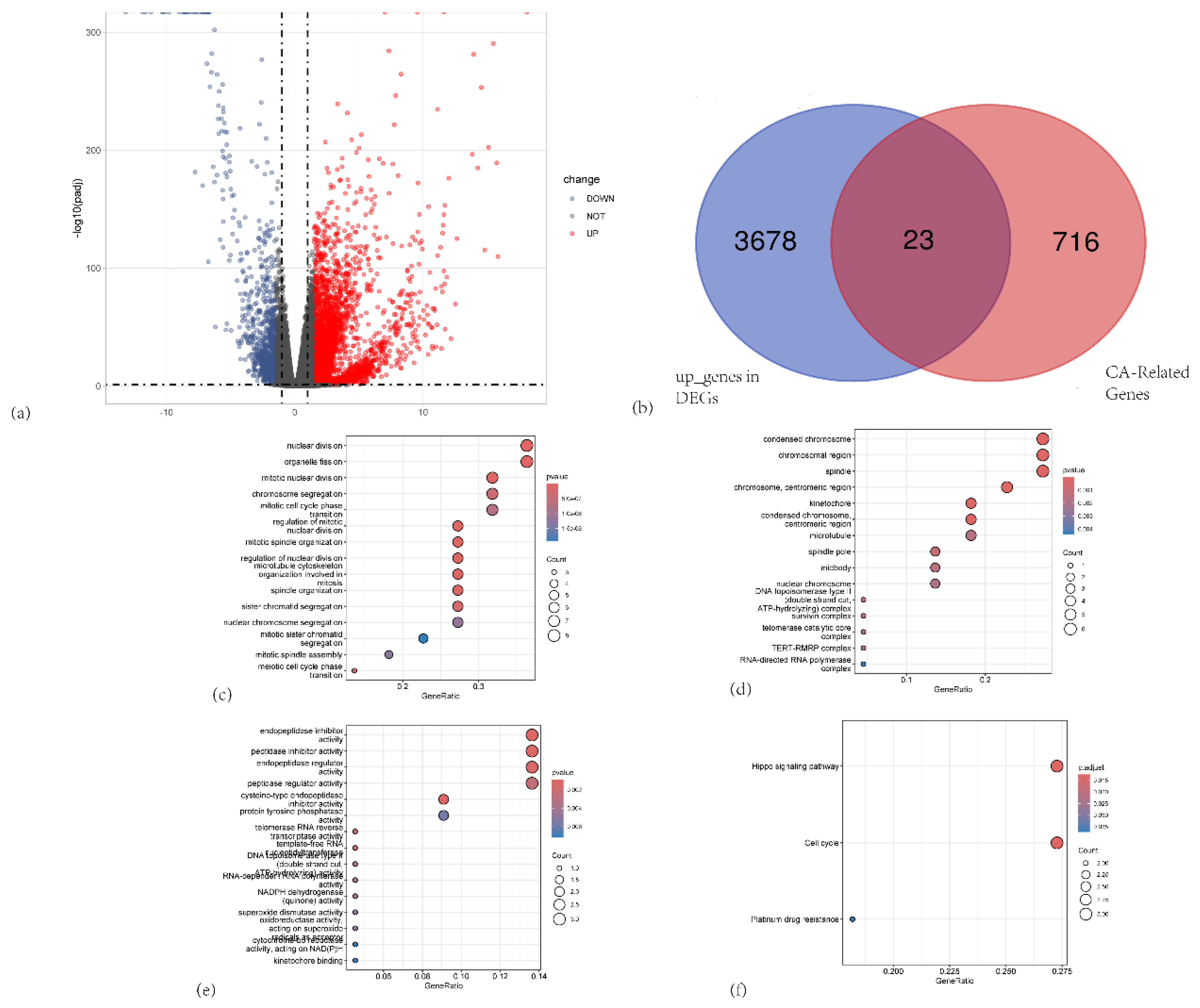 Preprints 171944 g001