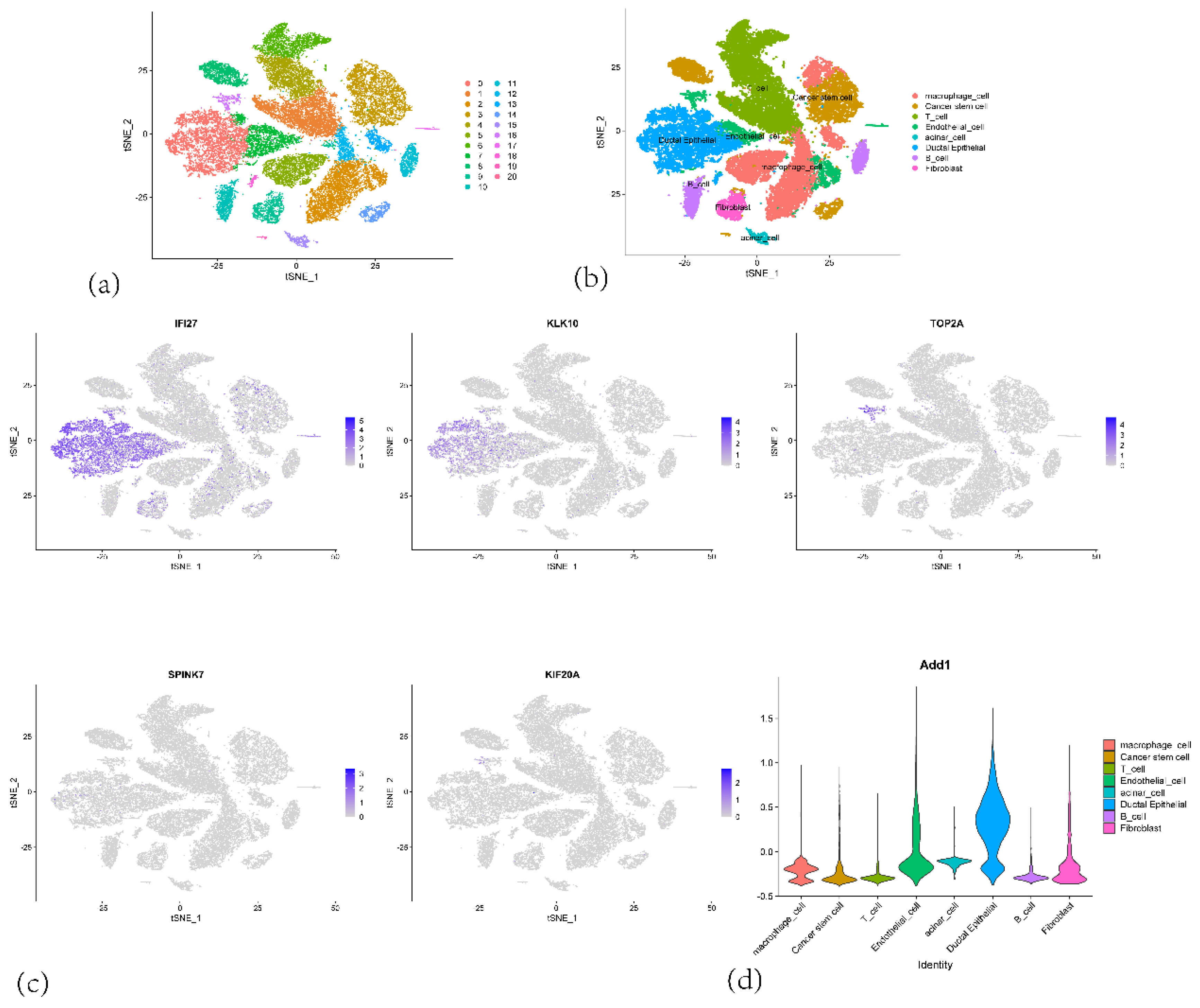 Preprints 171944 g013