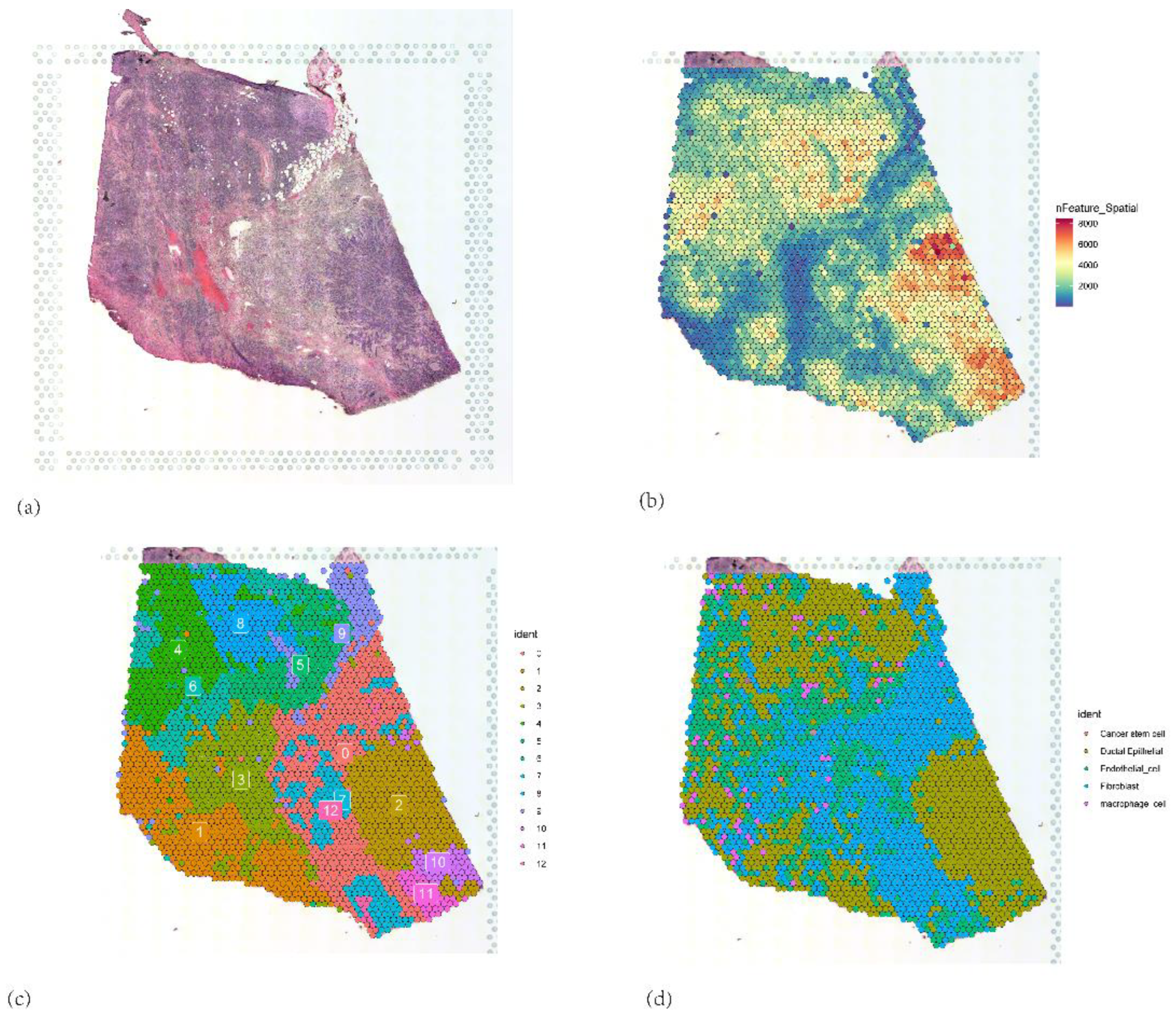 Preprints 171944 g016
