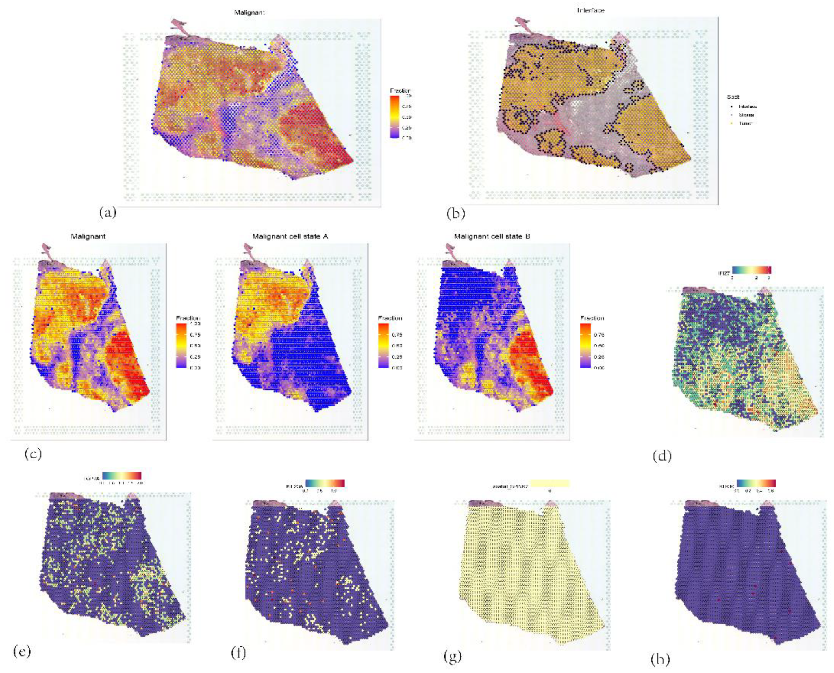 Preprints 171944 g017