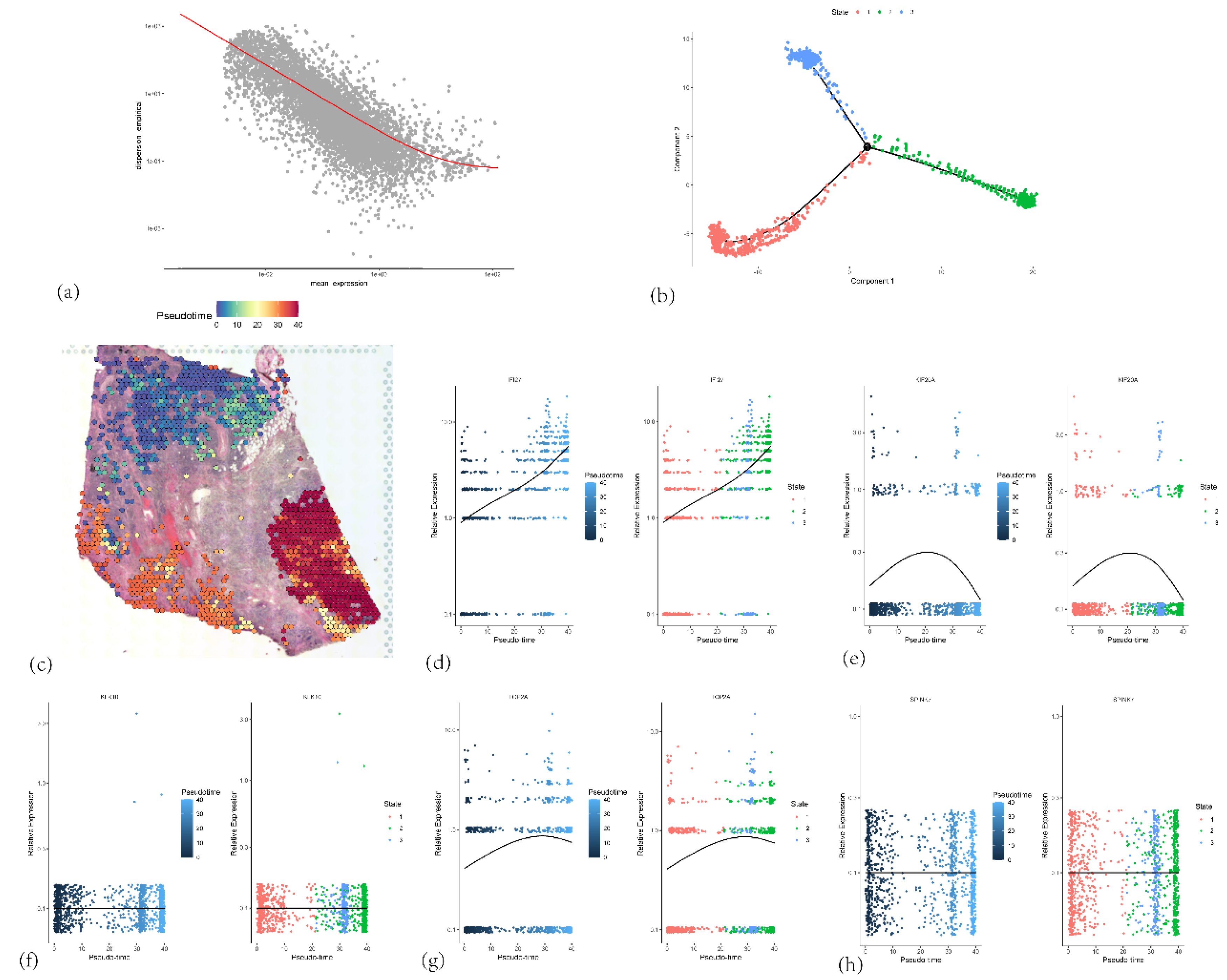 Preprints 171944 g018