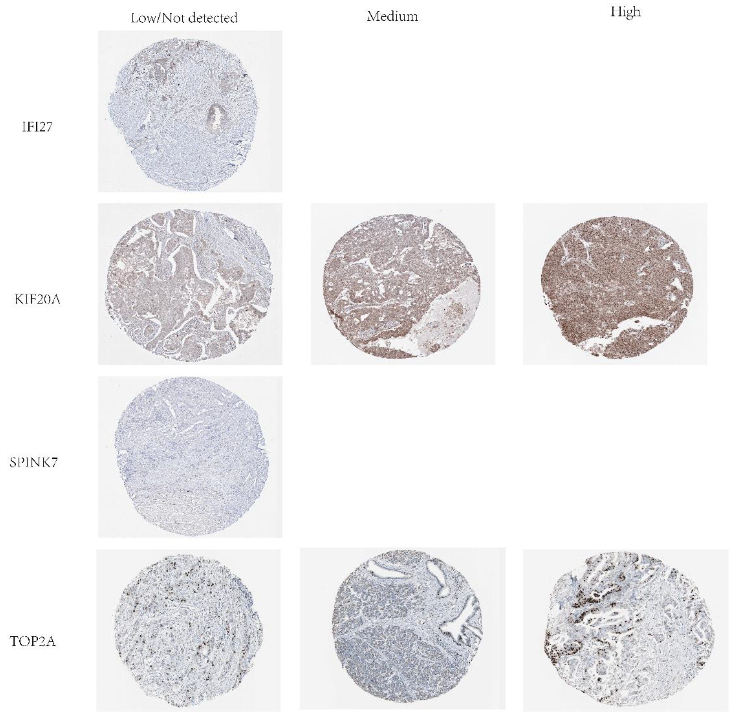 Preprints 171944 g021