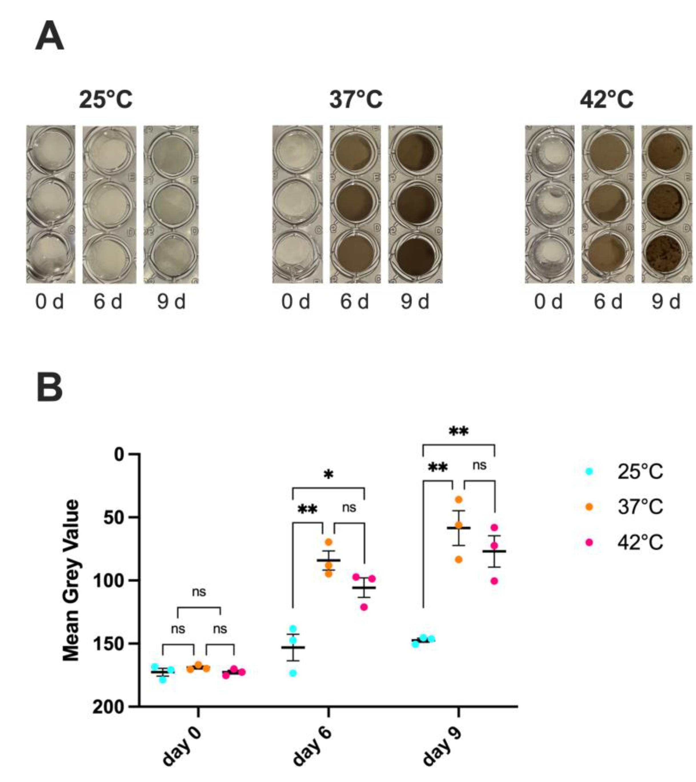 Preprints 168704 g002