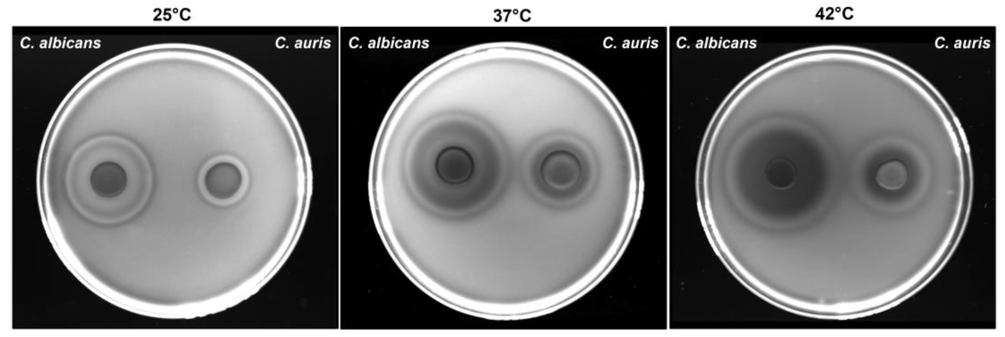 Preprints 168704 g003