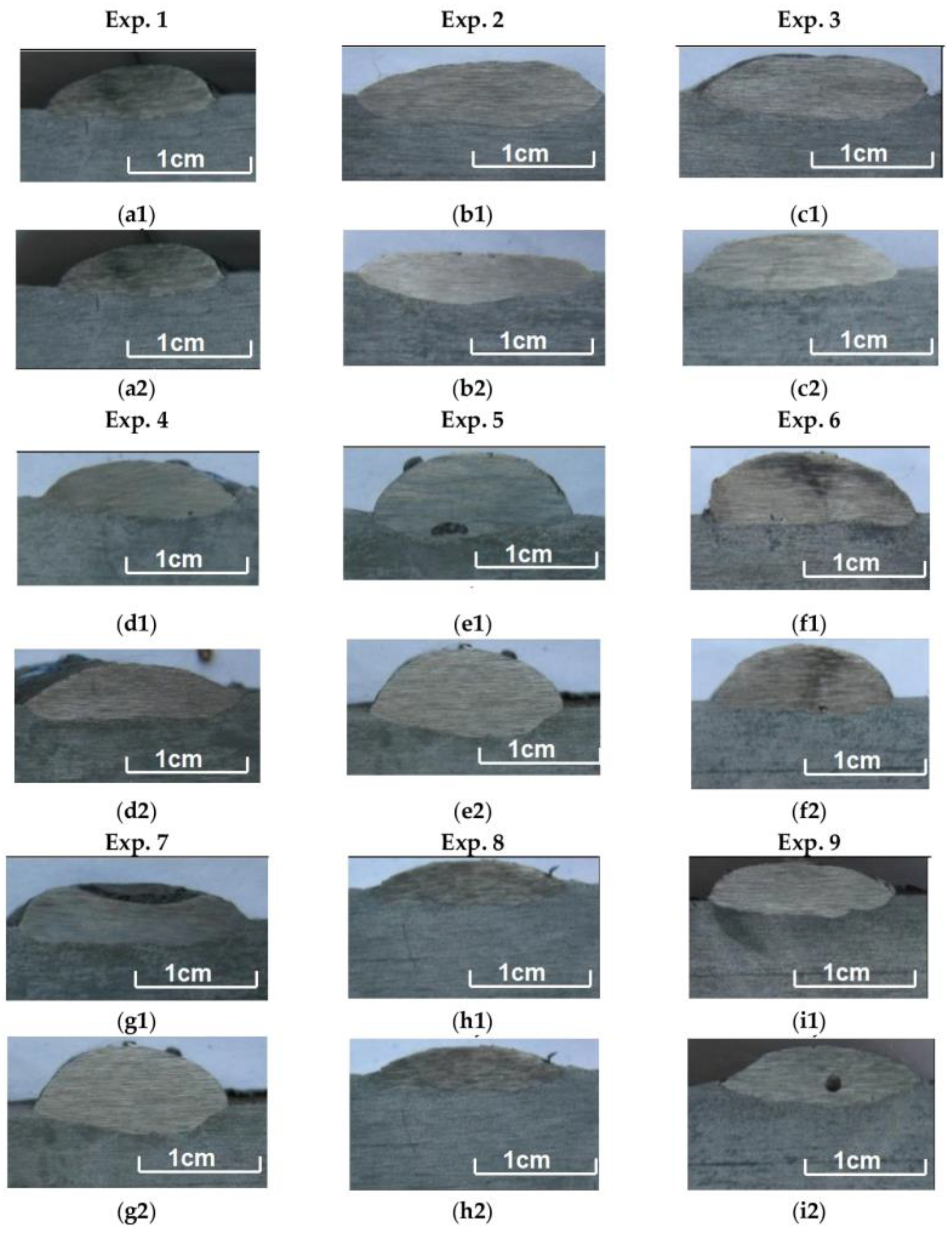 Preprints 190774 g007