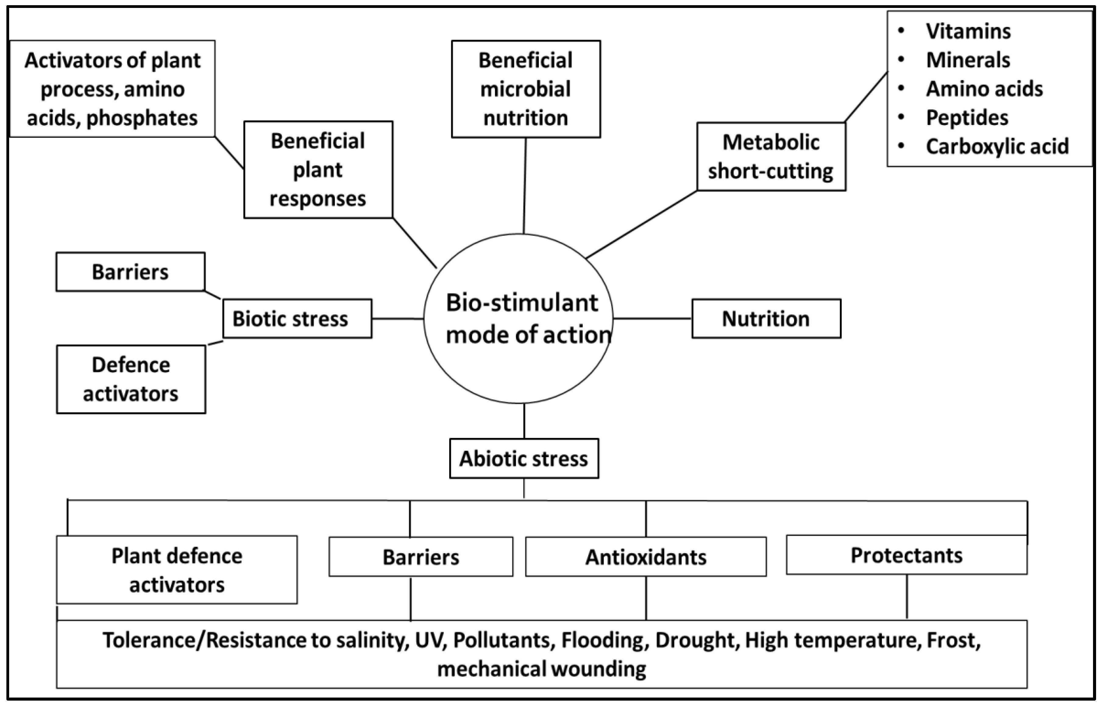 Preprints 151297 g001