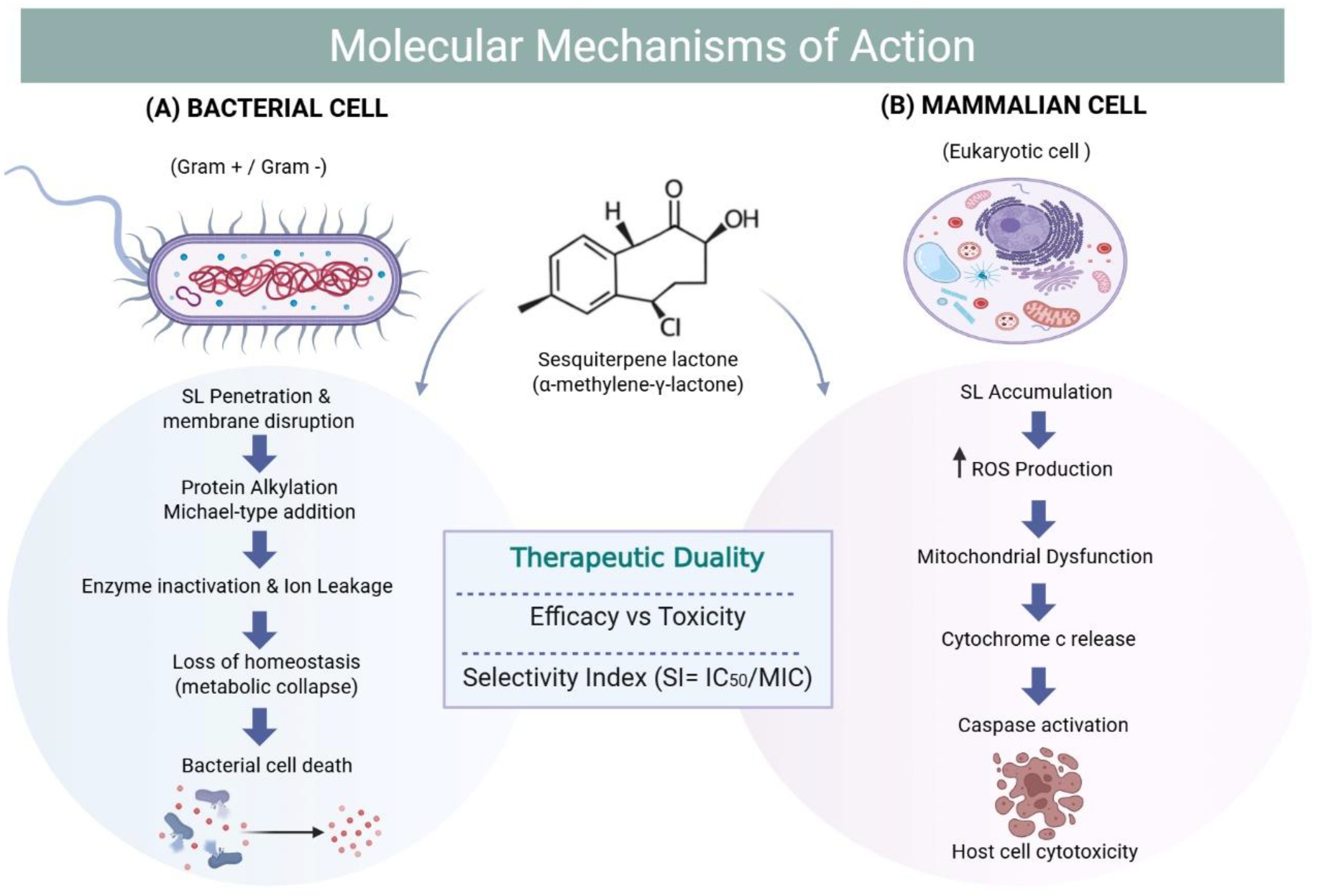 Preprints 194229 g003
