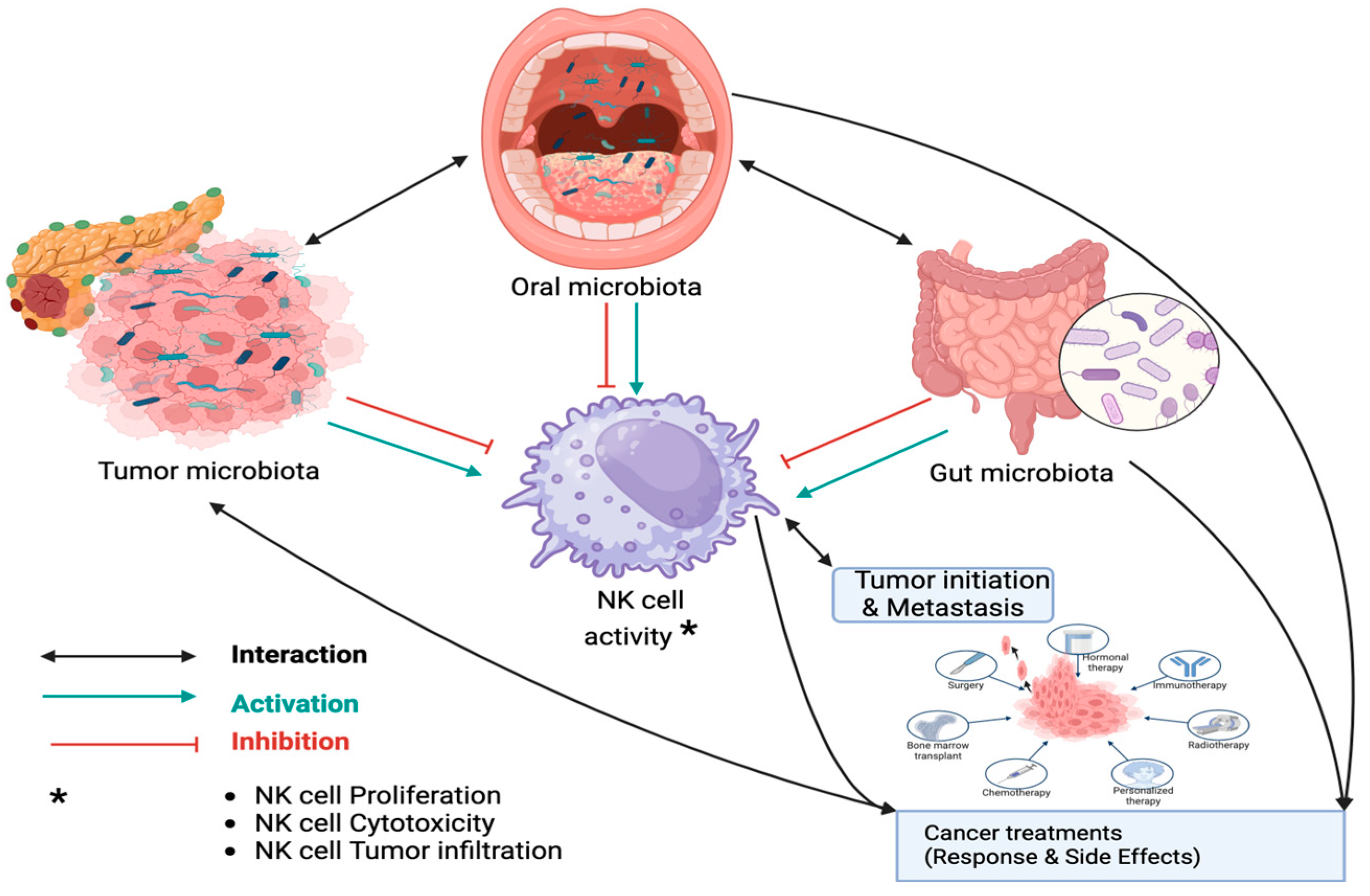 Preprints 143488 g001