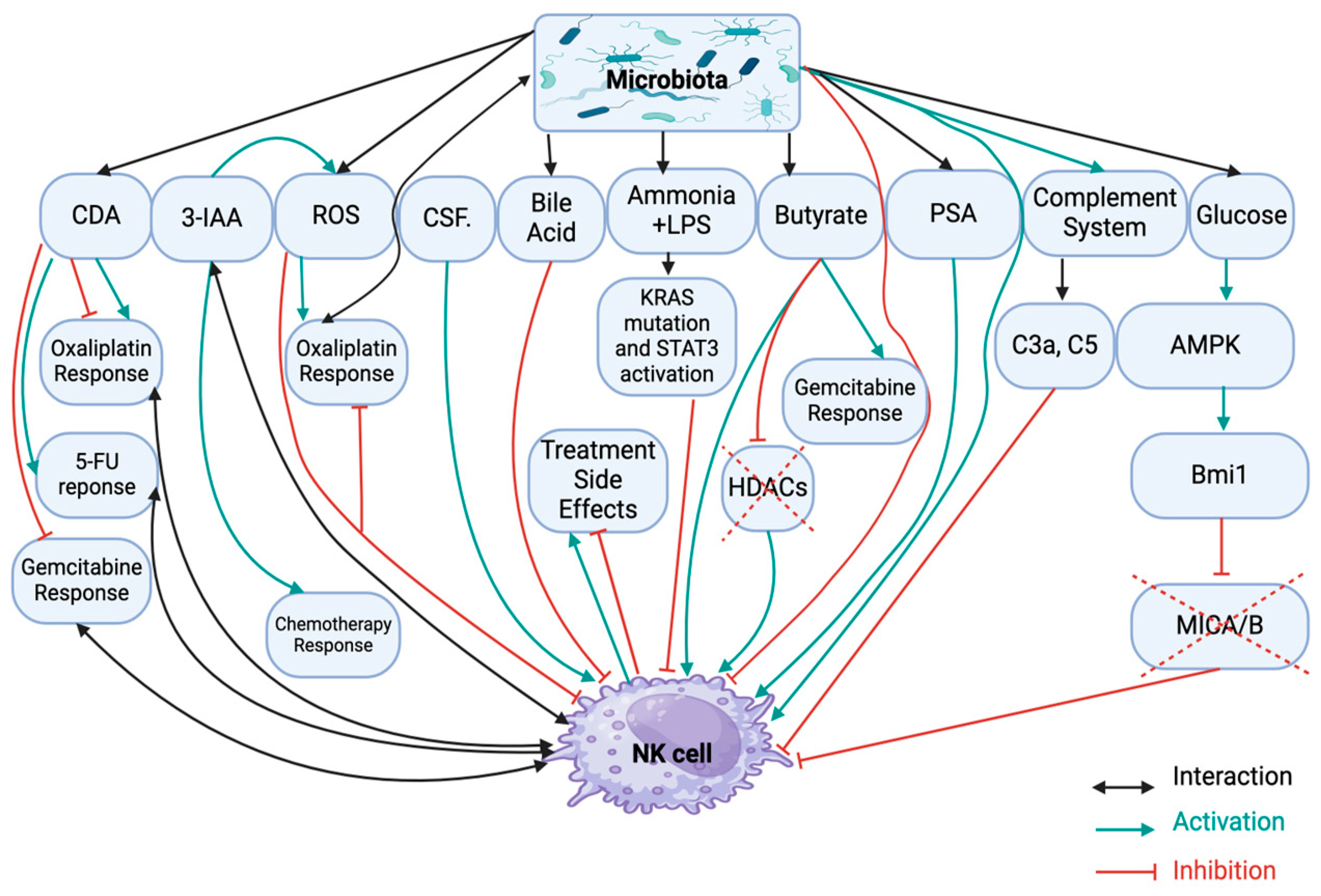 Preprints 143488 g002