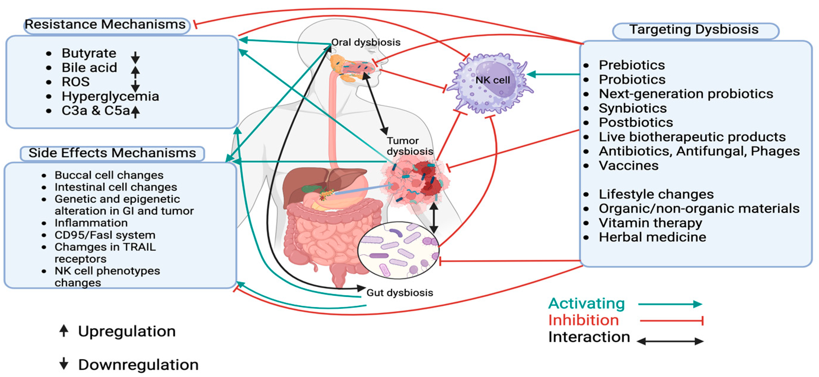 Preprints 143488 g003