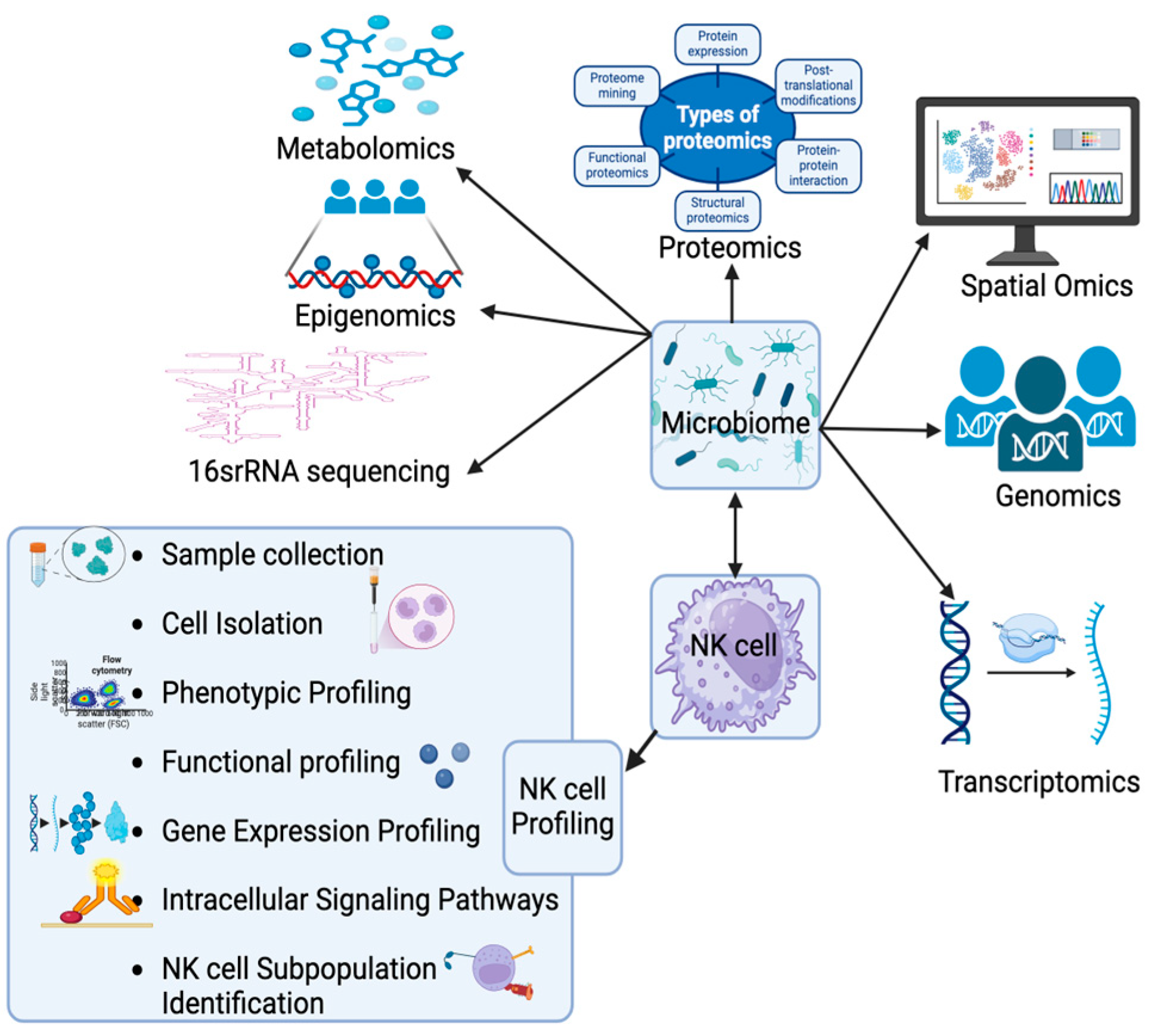 Preprints 143488 g004