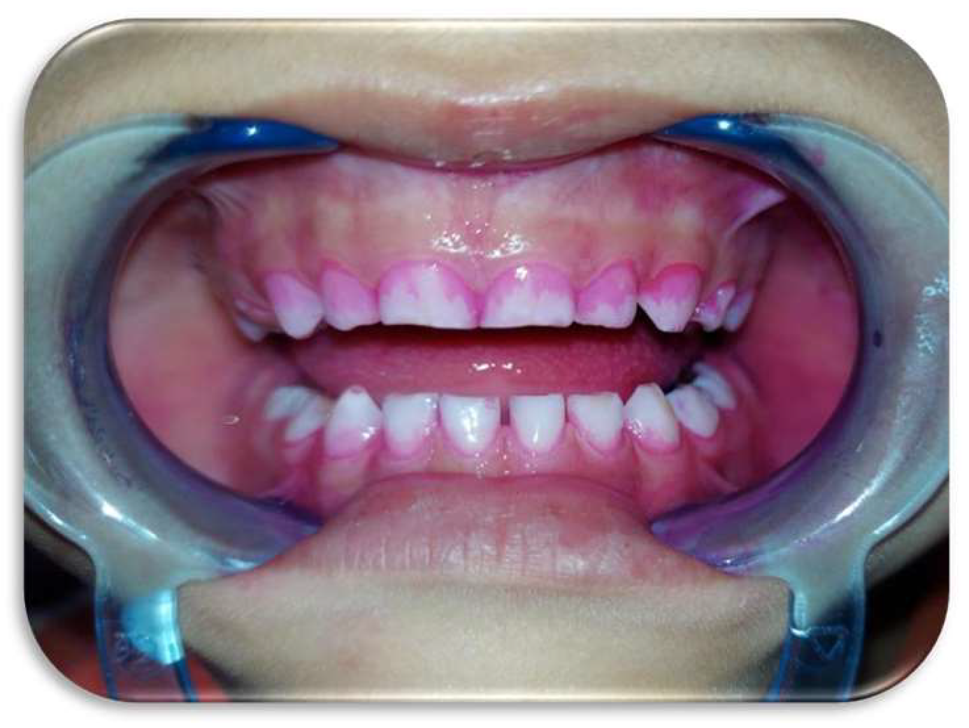 Preprints 146144 g024